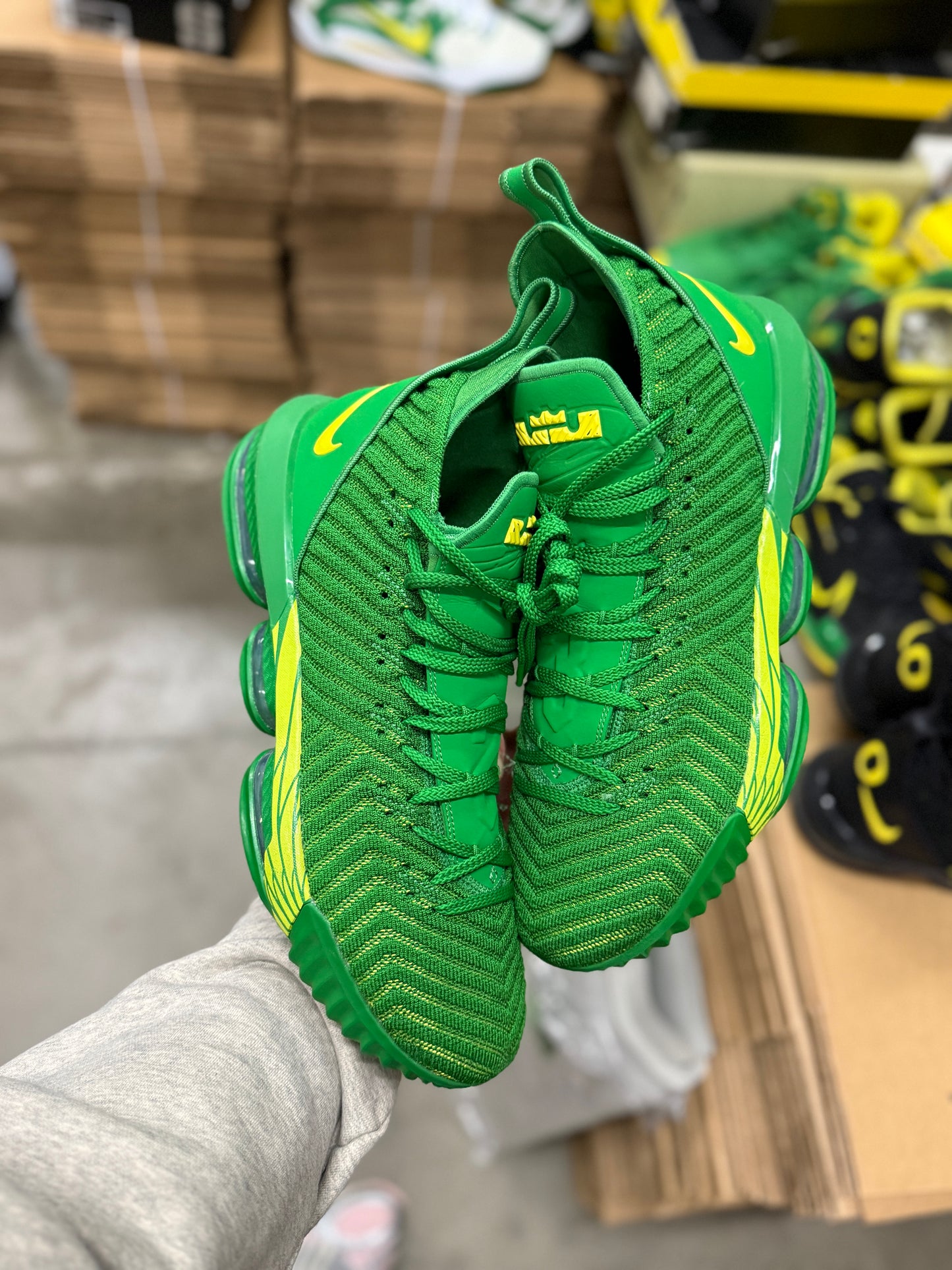 LeBron Oregon PE (size 15)