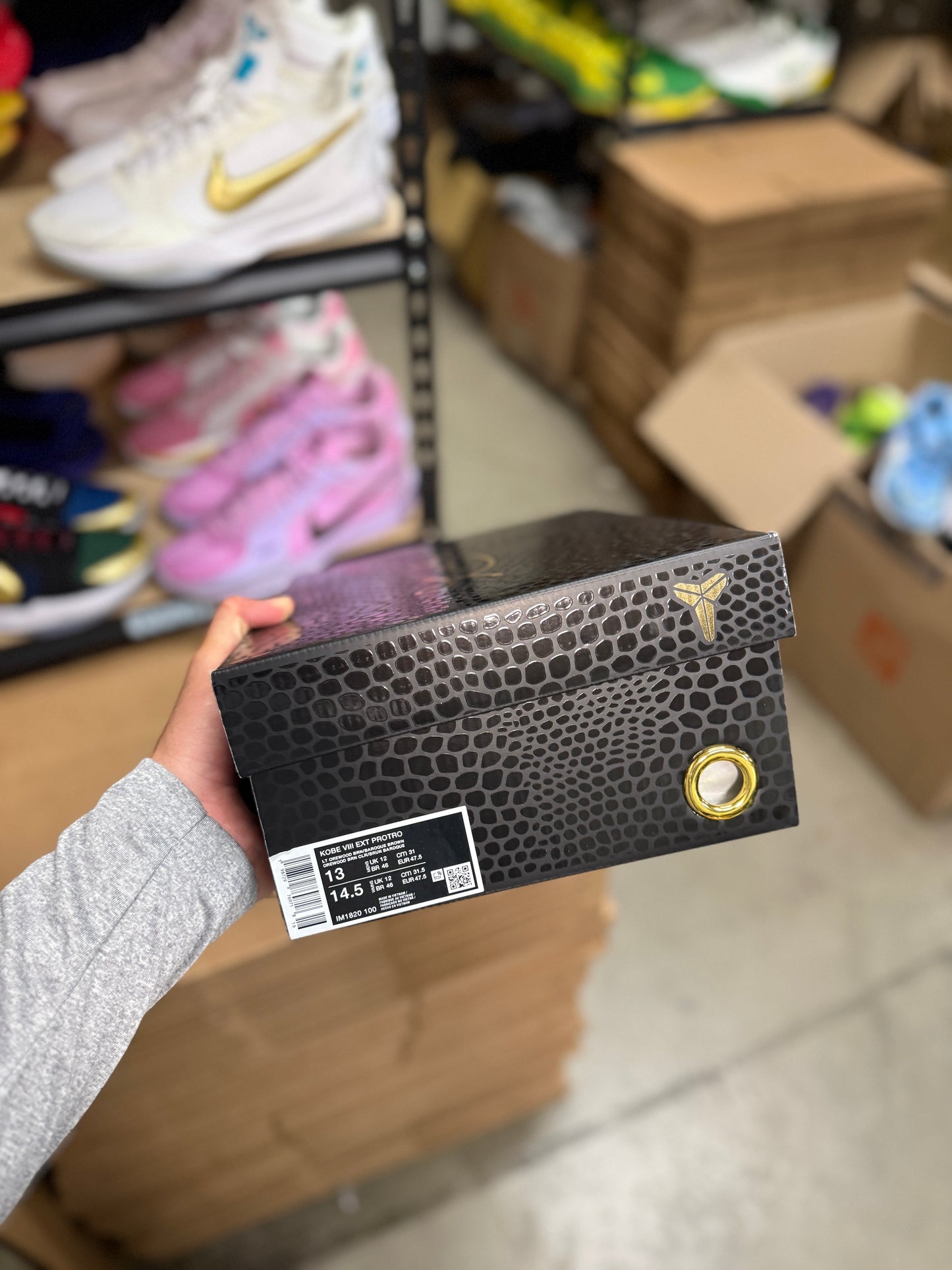 Kobe 8 (13)
