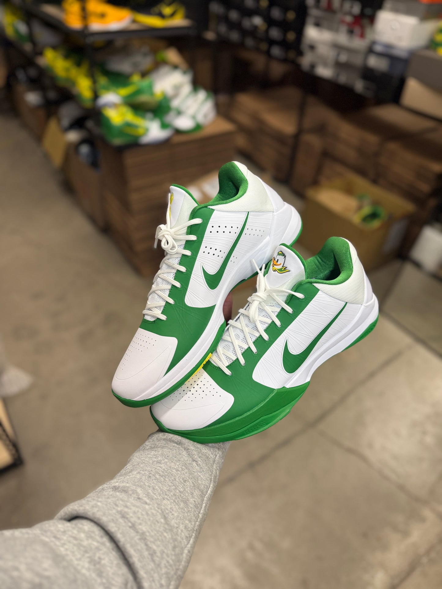Kobe 5 Oregon PE (x)