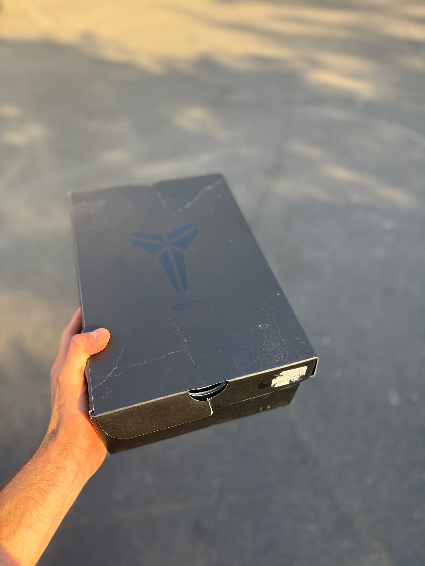 Oregon PE 8 (9 / 12 / 13)