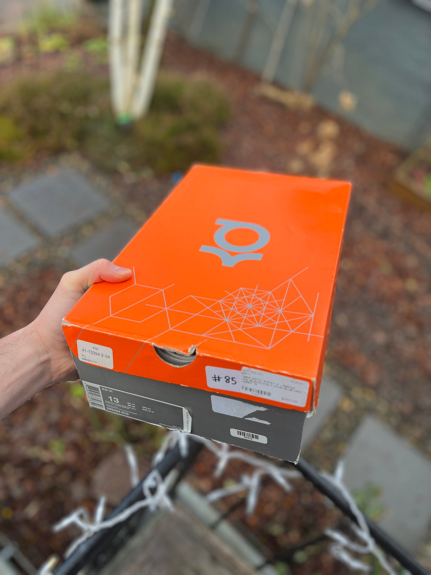 Kd6 (size 13)