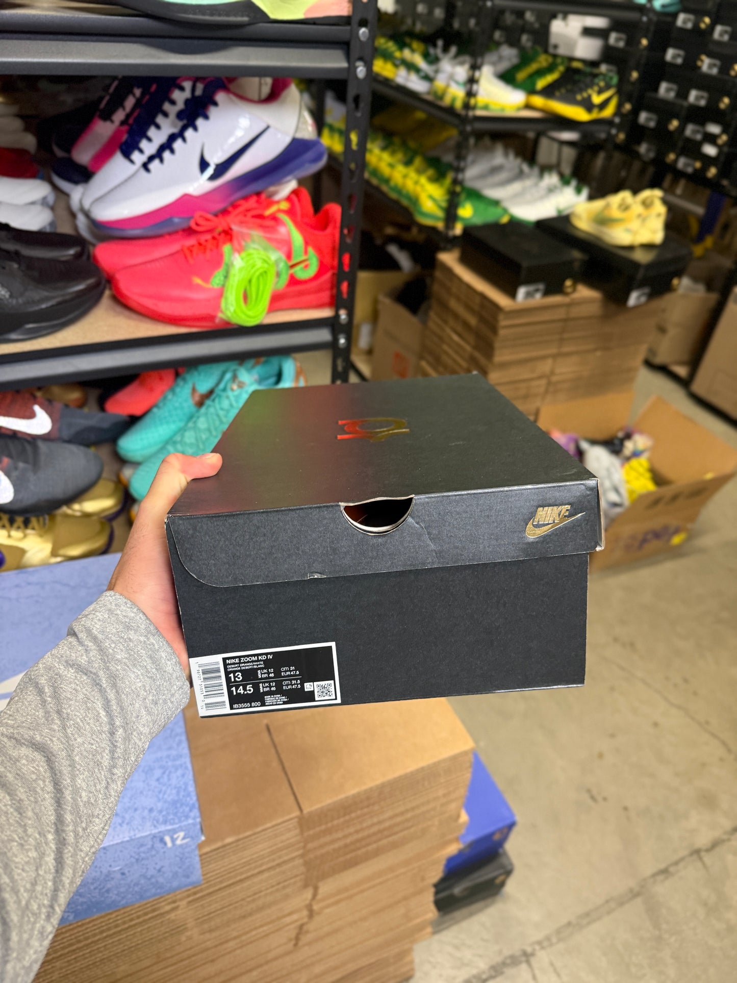 Kd4 Longhorns (13)