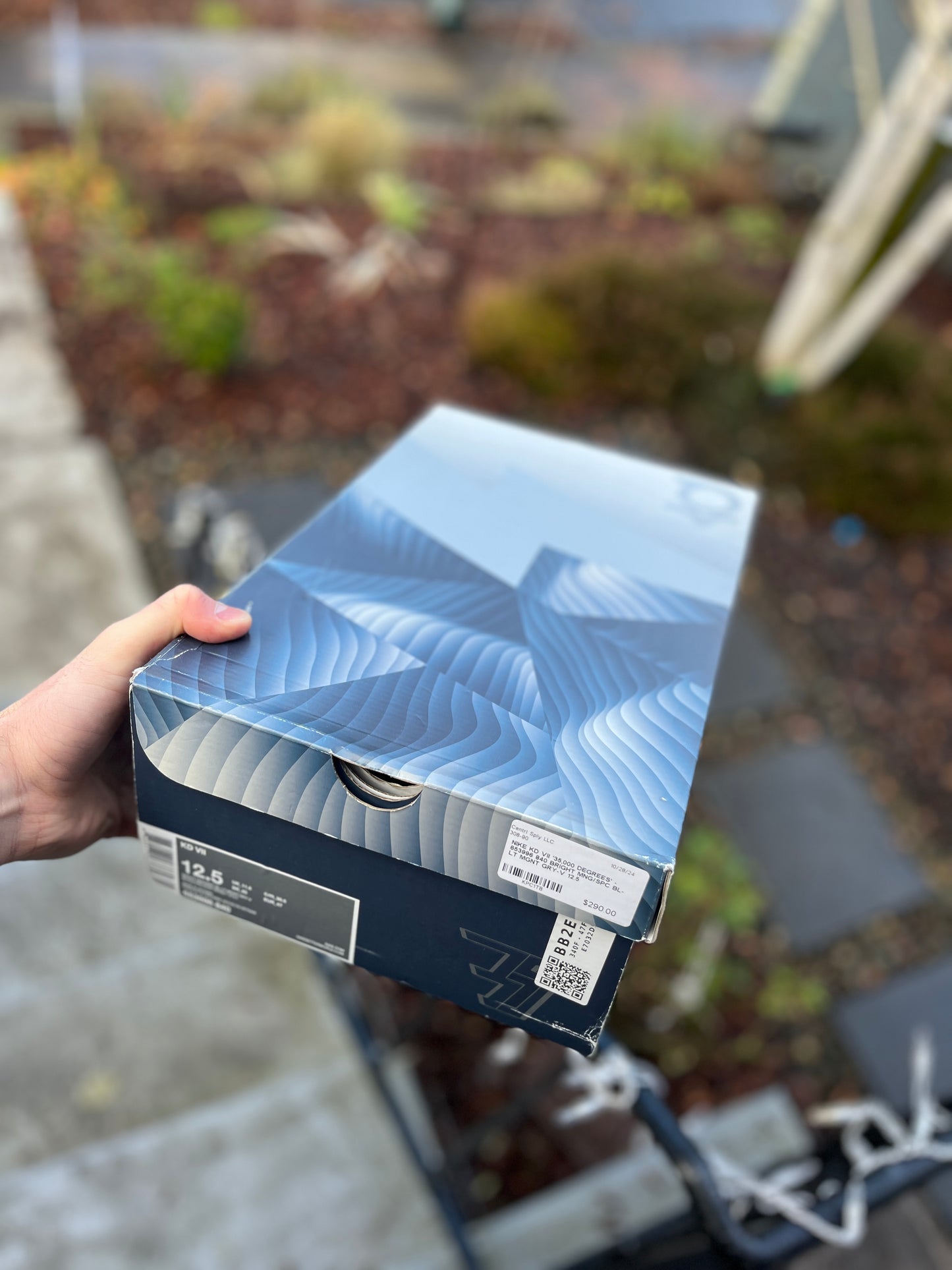 Kd7 (size 12.5,13)