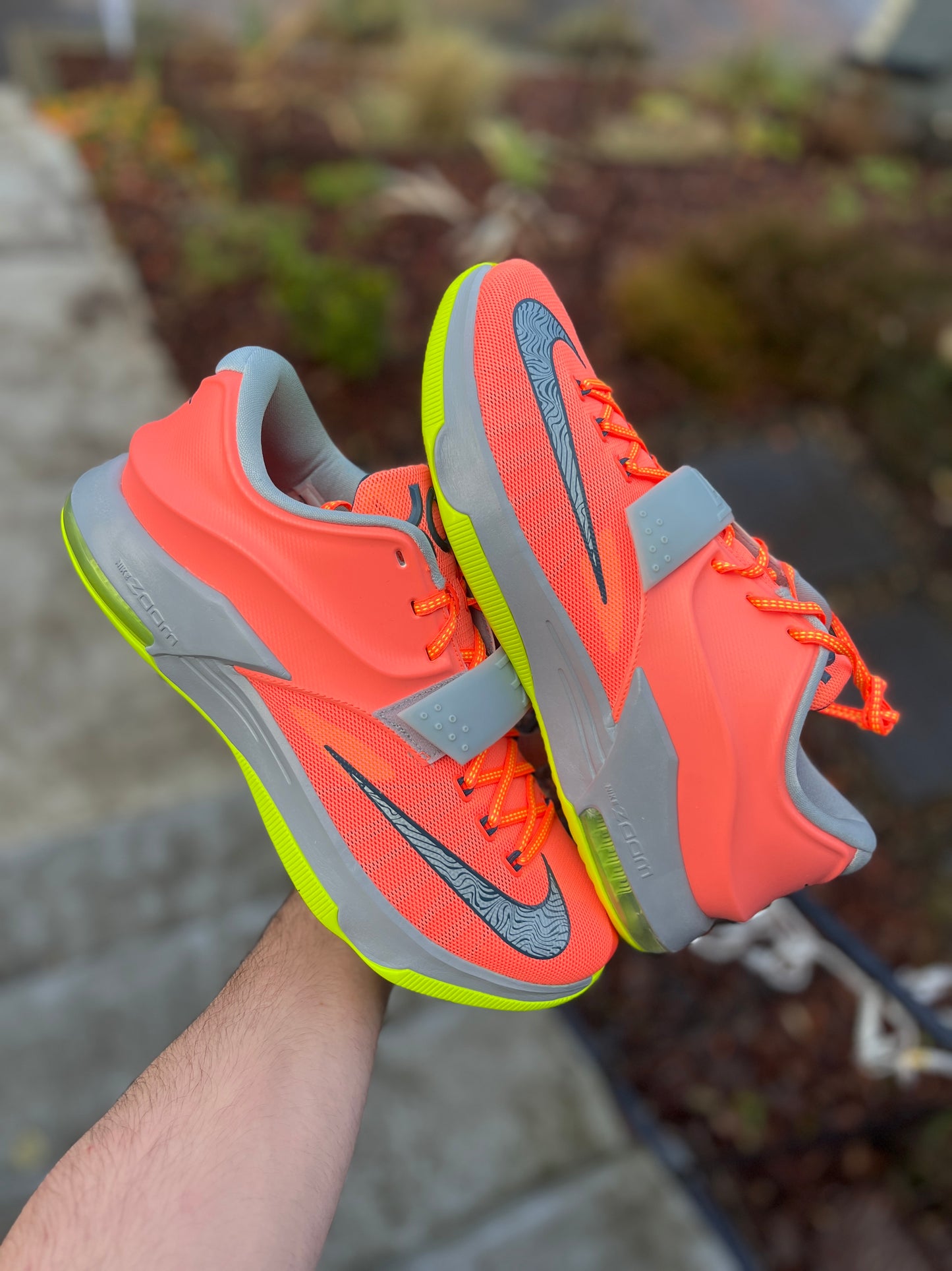 Kd7 (size 12.5,13)