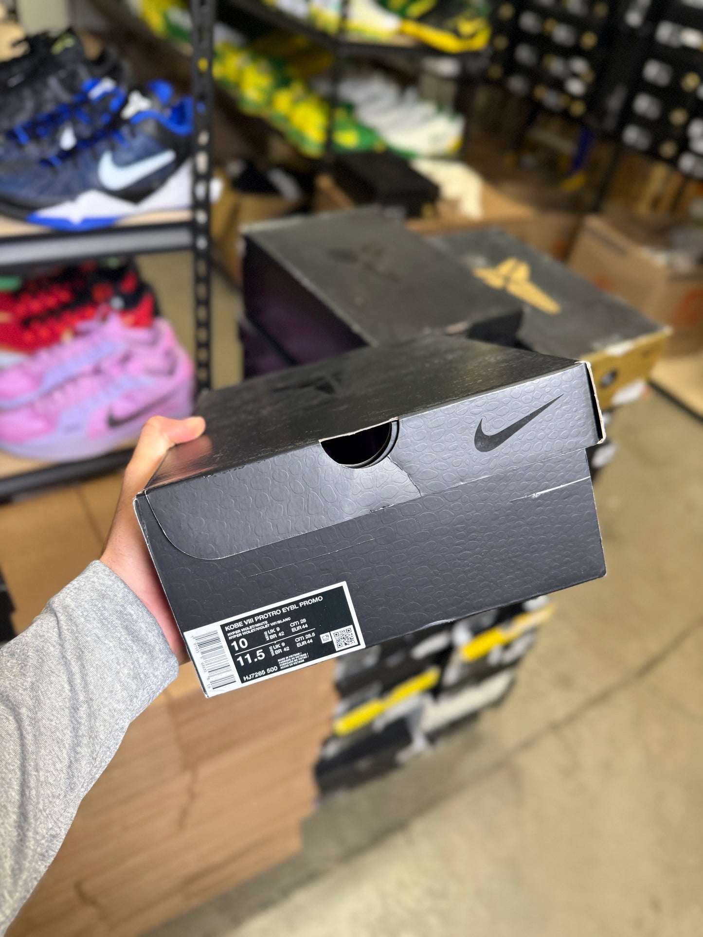 Kobe 8 Eybl (10)