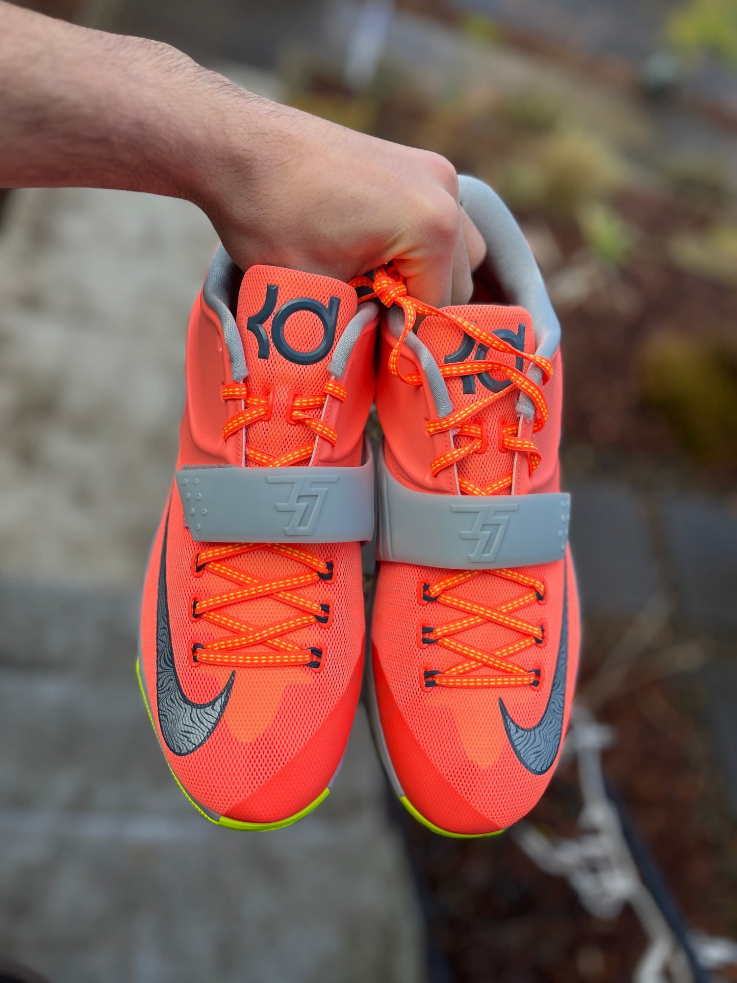 Kd7 (size 12.5,13)