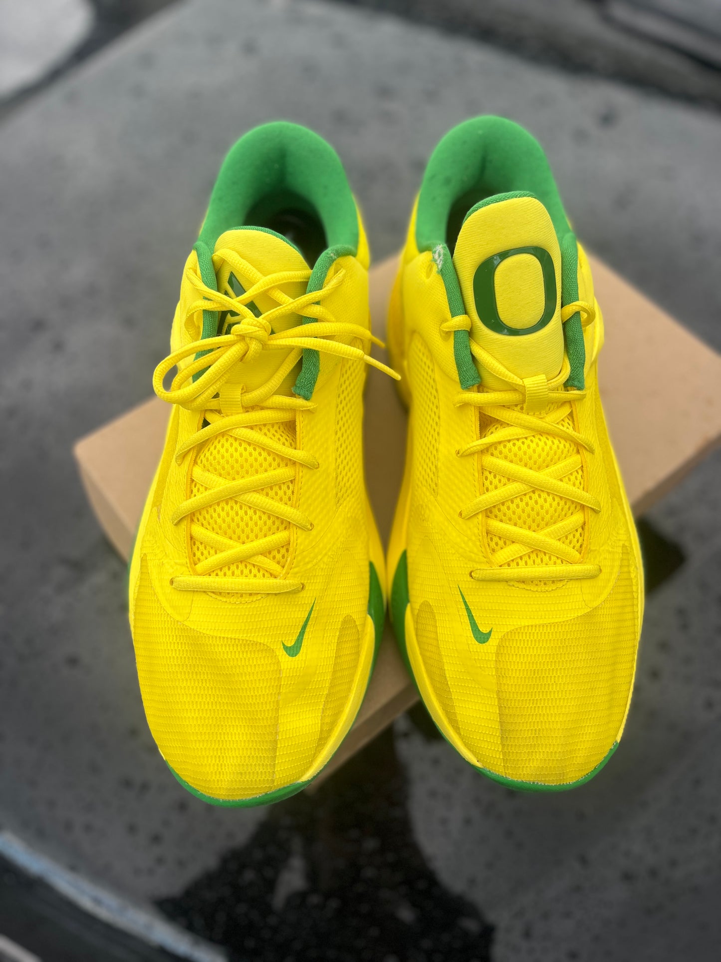 Oregon PE (size 13)