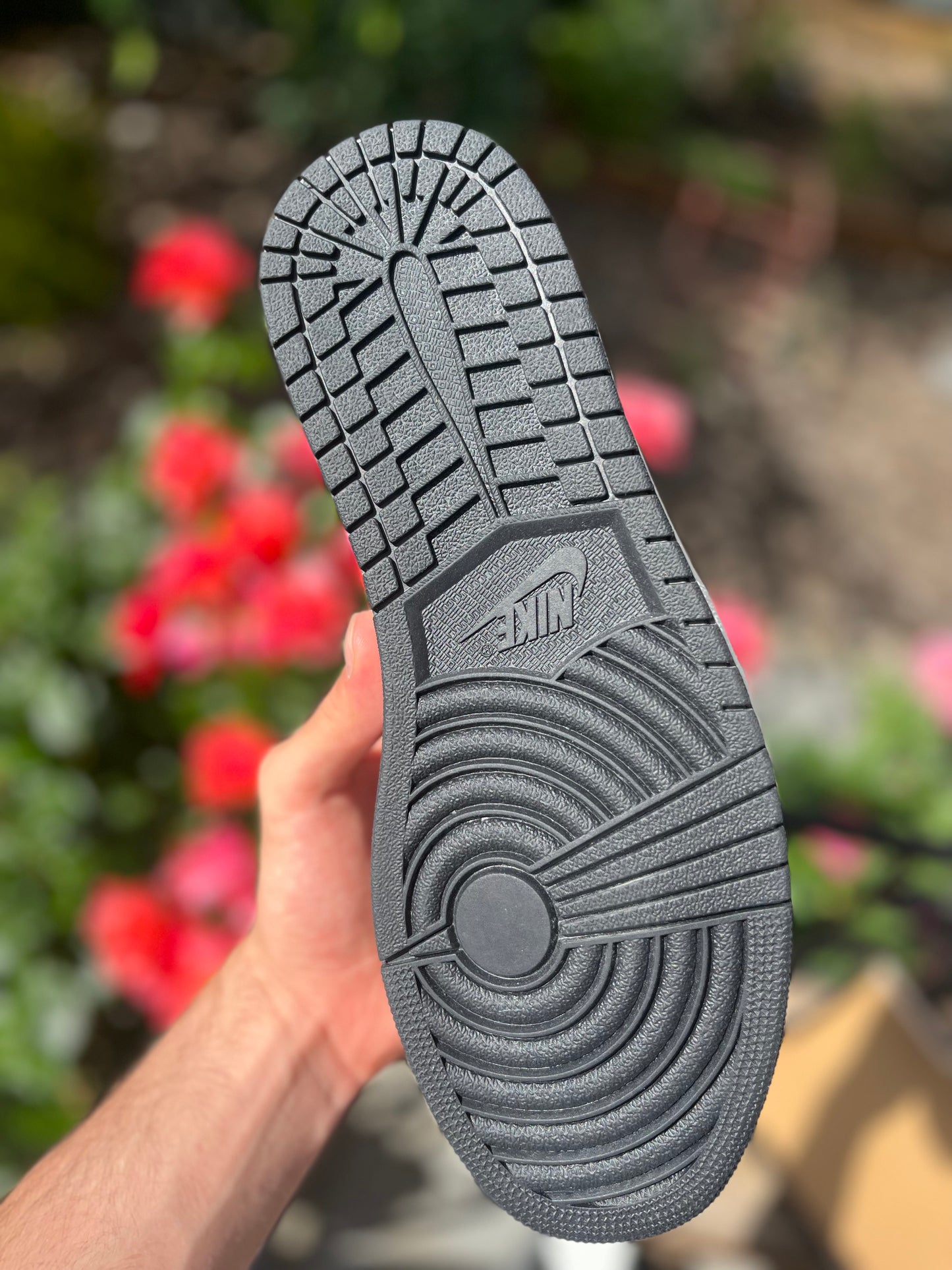(Size 12)