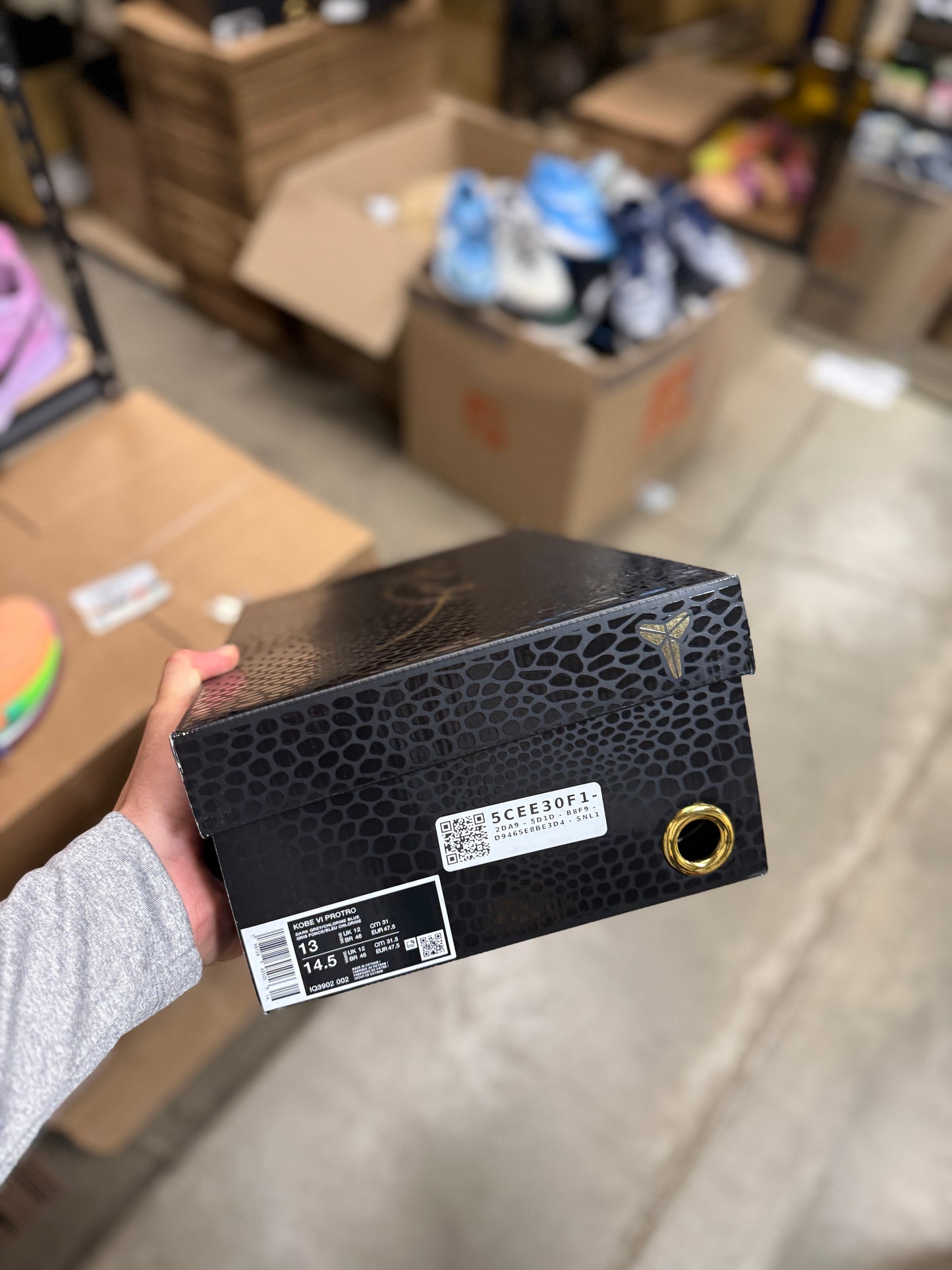 Kobe 6 3D (13)
