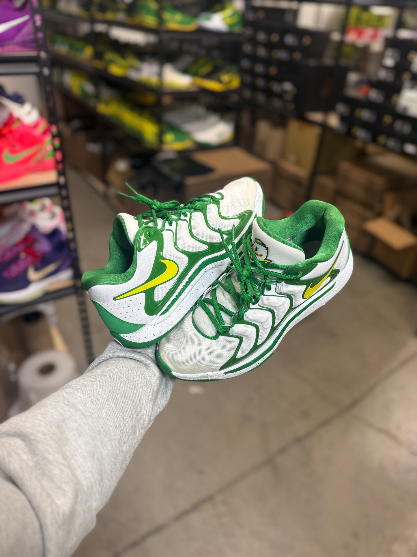 Kd17 Oregon PE (9.5)