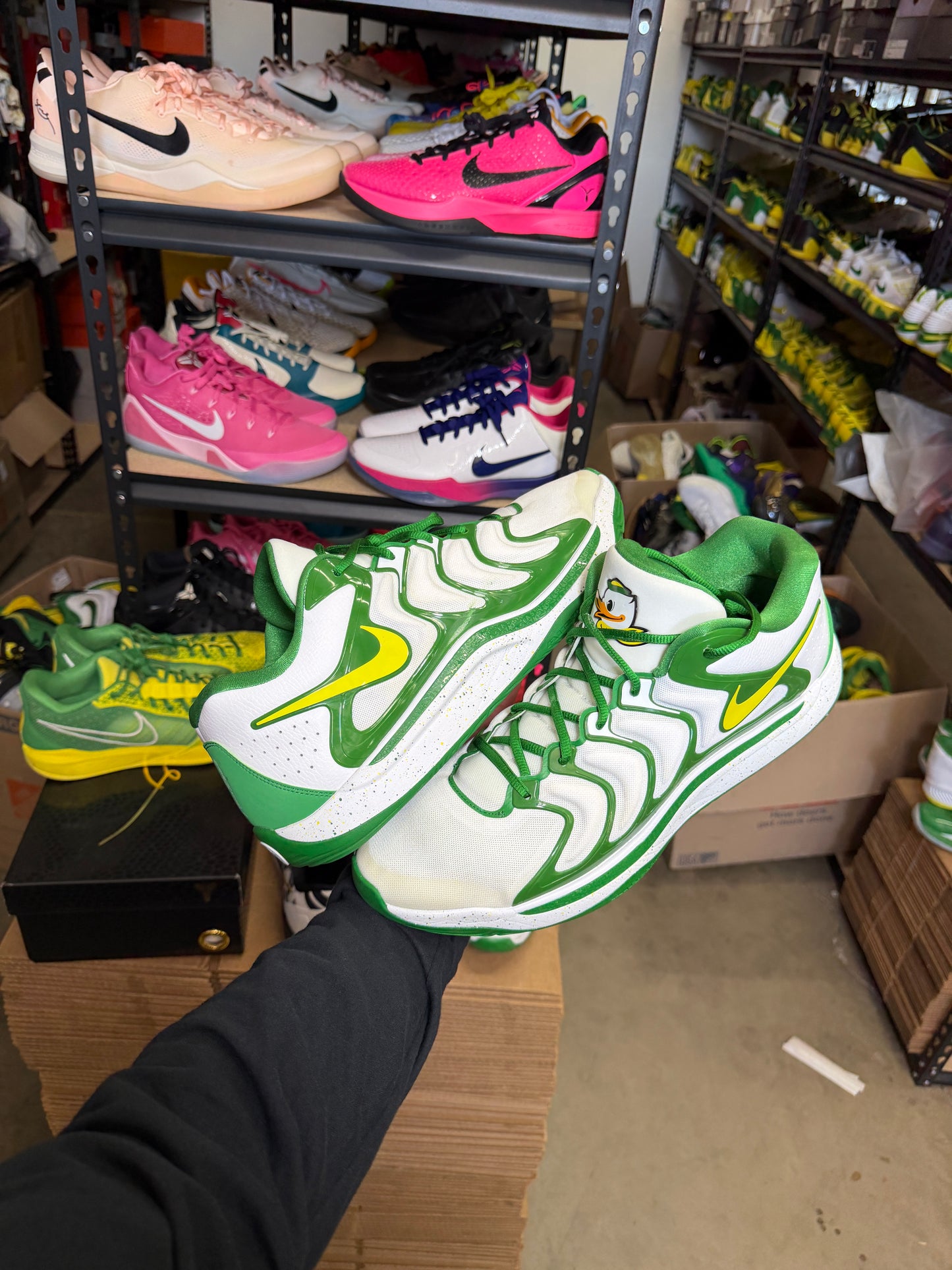 Kd17 Oregon PE (16)