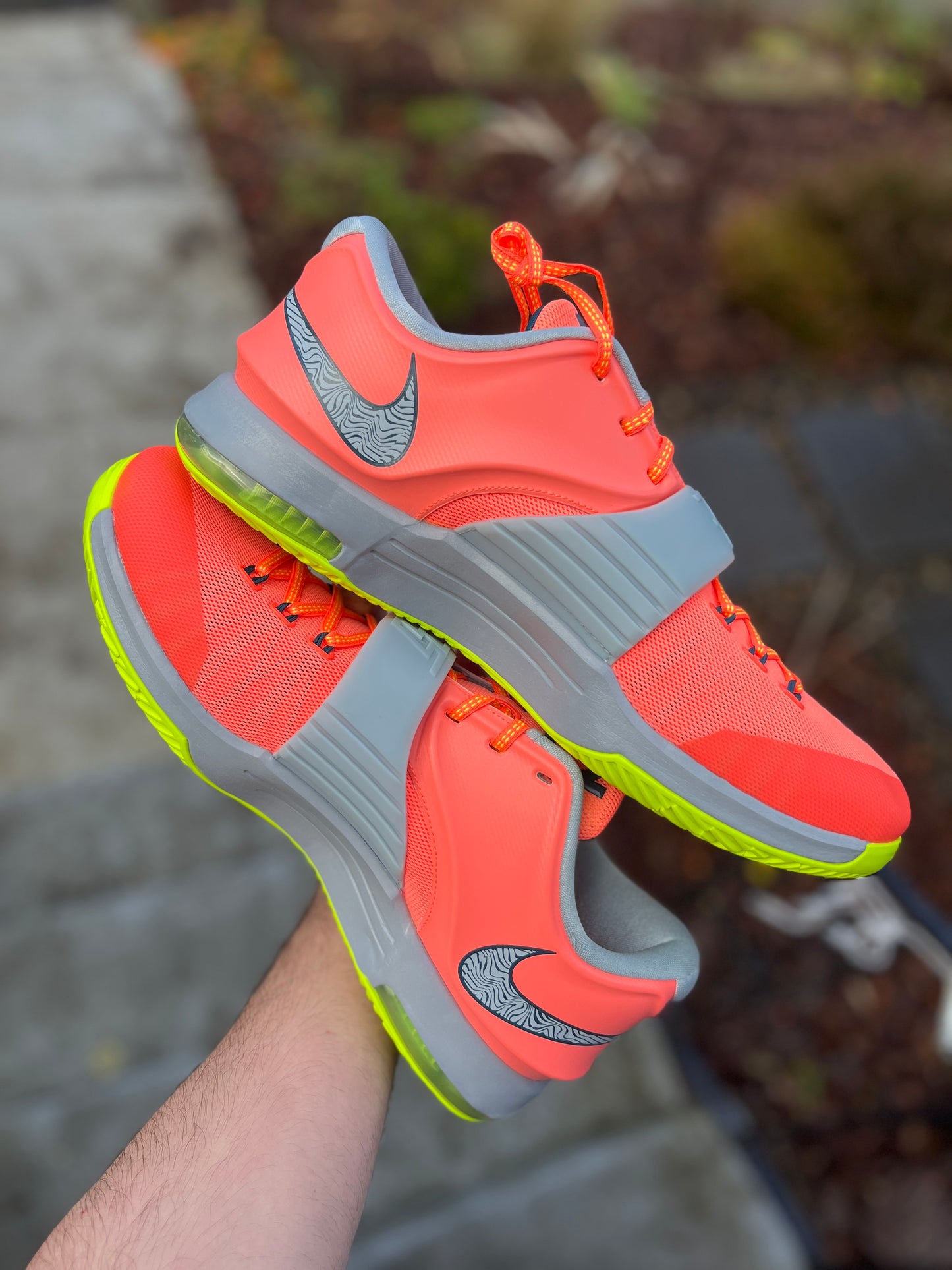 Kd7 (size 12.5,13)
