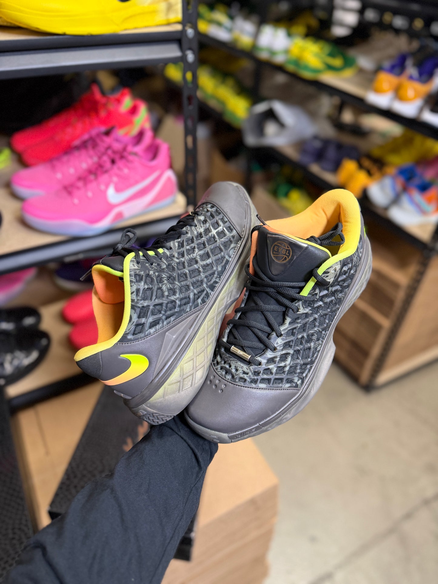 Kobe 3 Eybl (12.5)