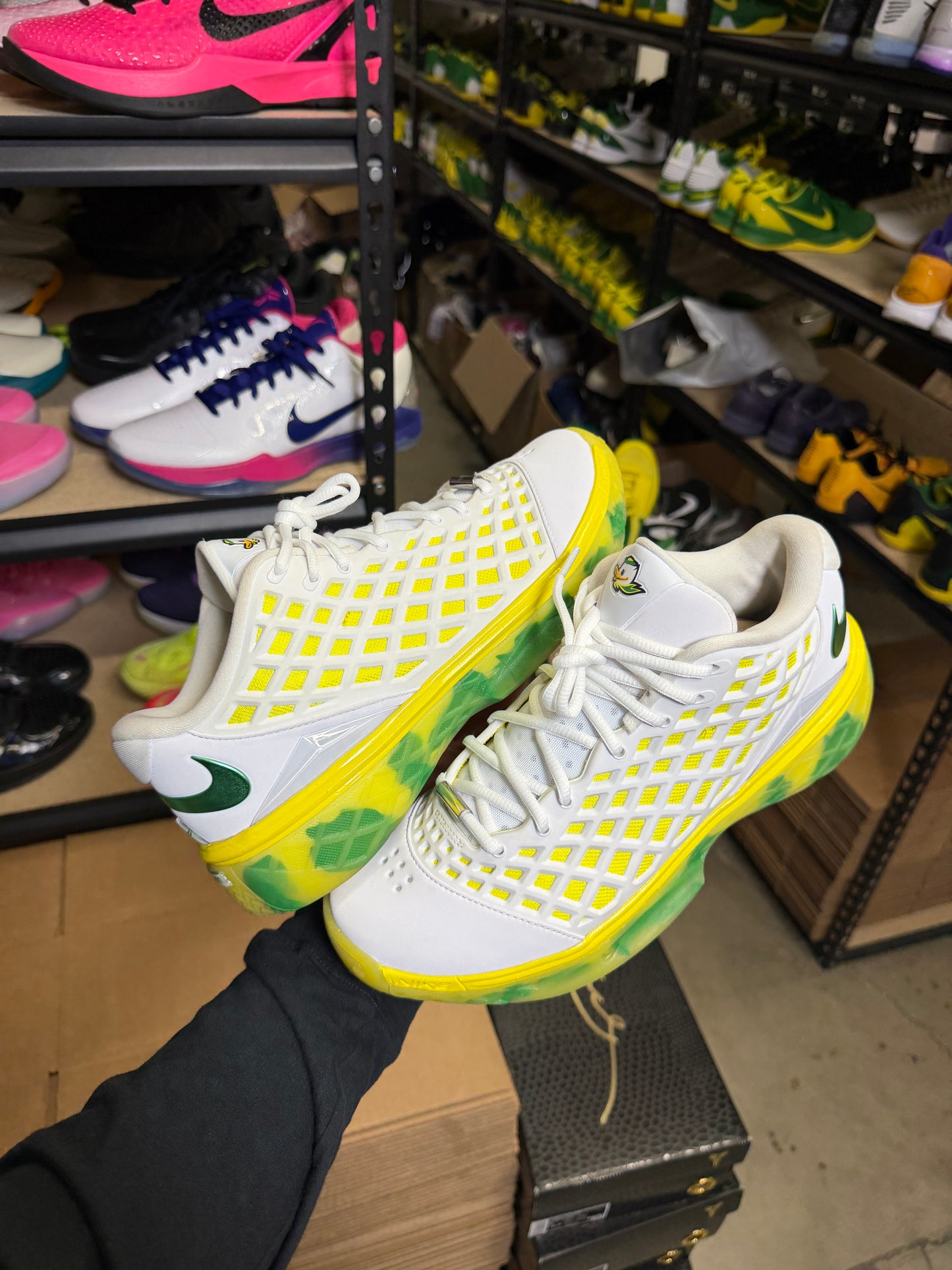 Kobe 3 Oregon PE (8.5)