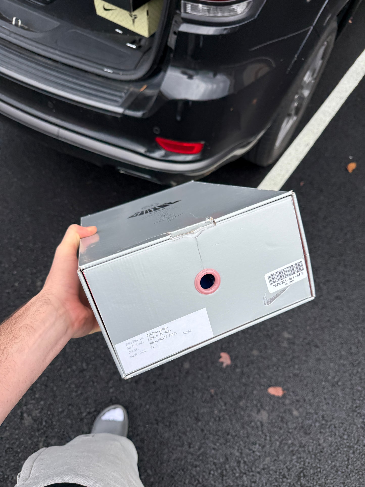 Bron Kentucky PE (size 11.5)