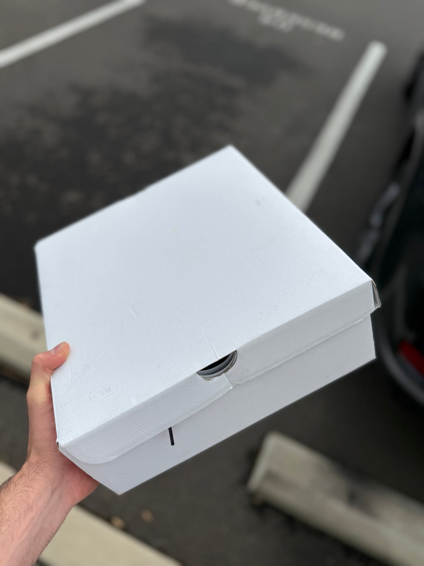 Sample Team 10s (size 11.5)