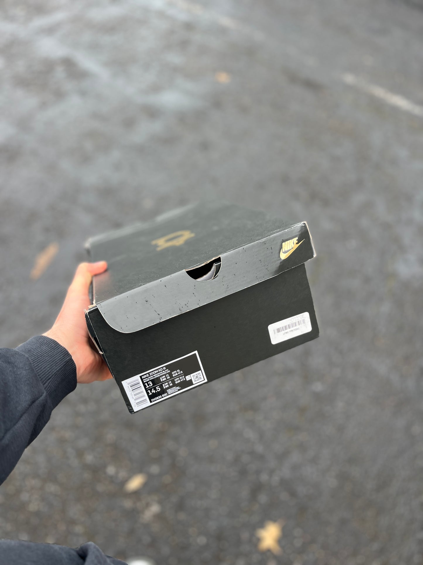Kd3 Allstar(size 13)