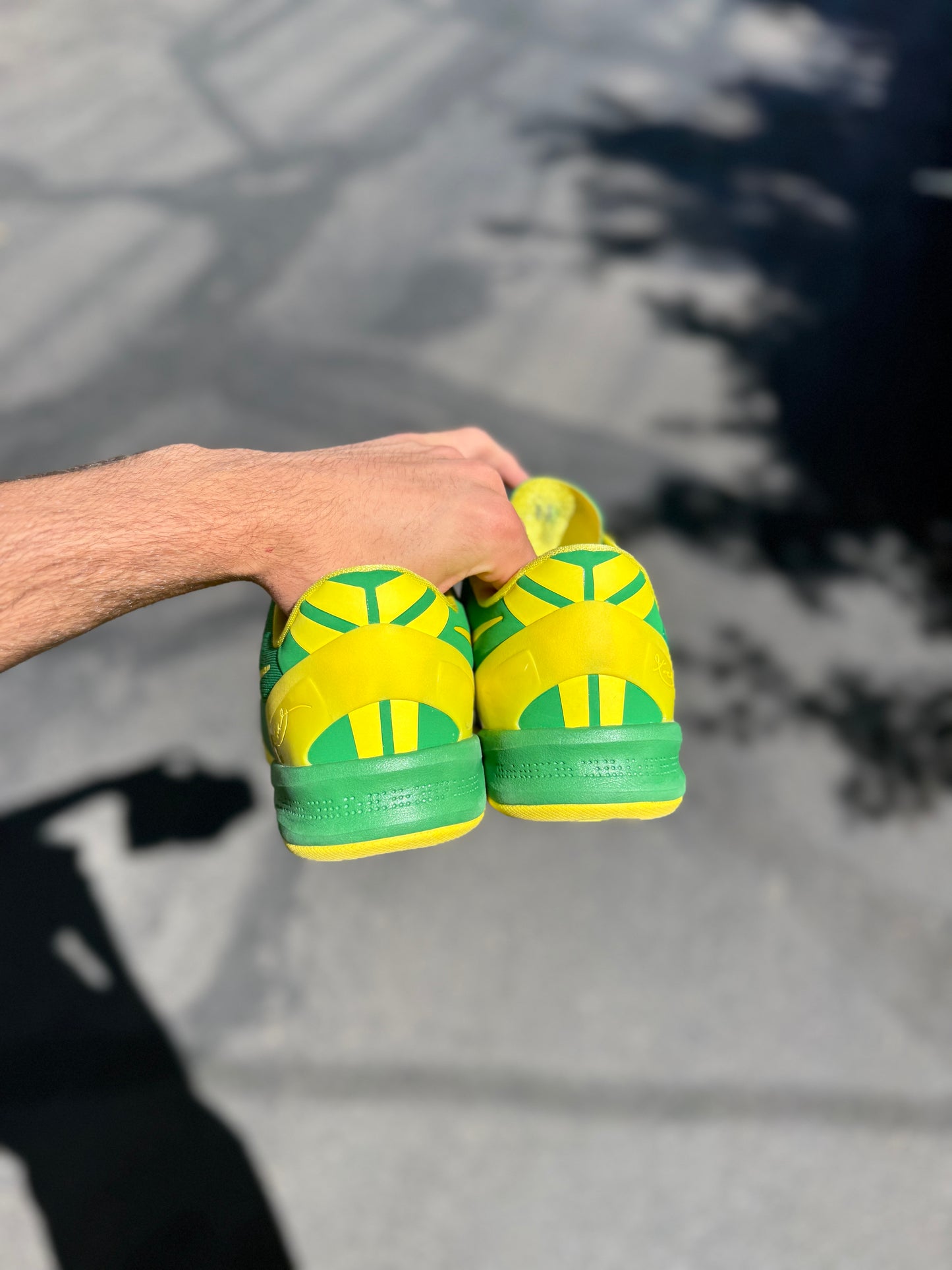 Oregon 8 (size 13)