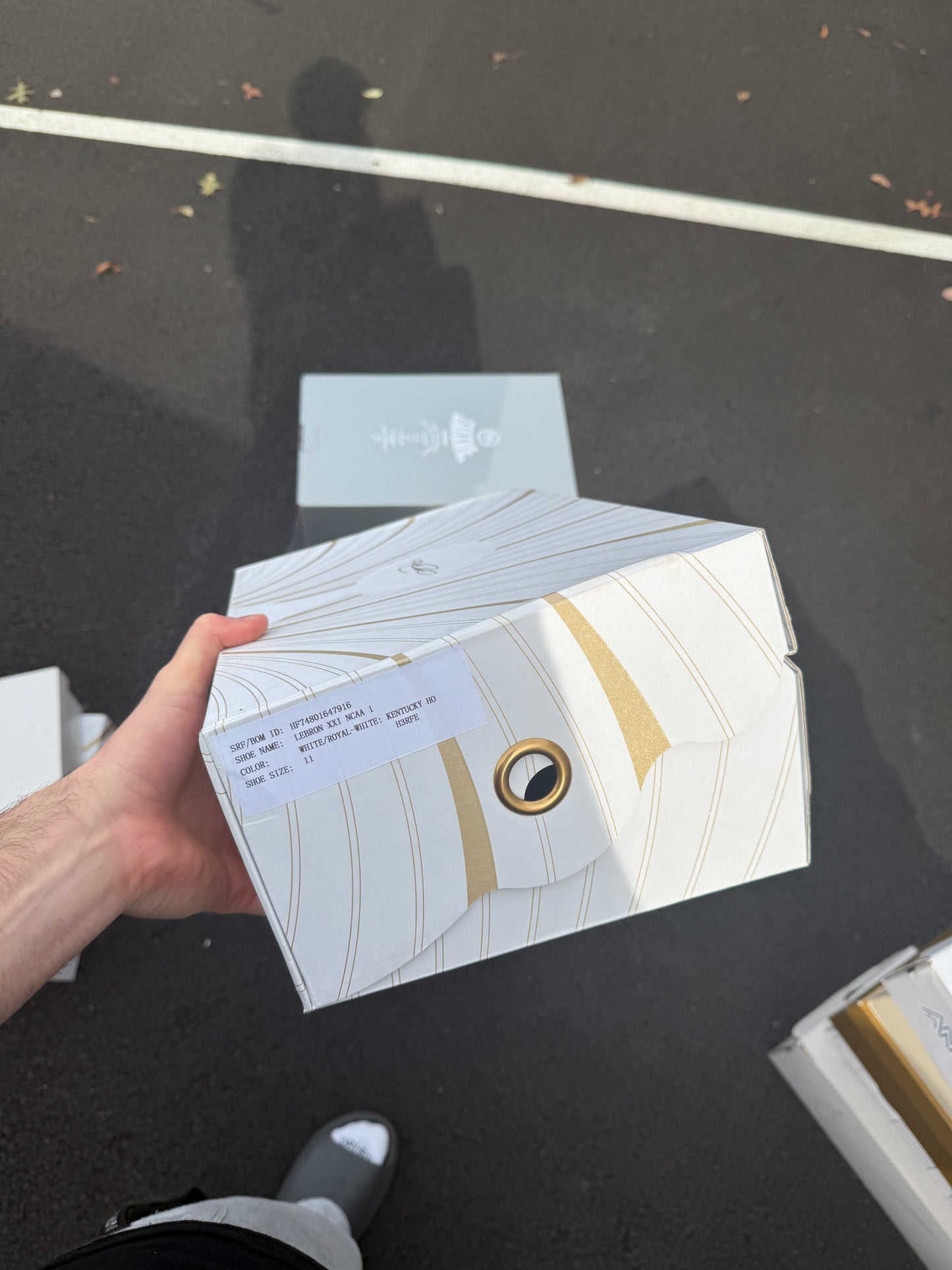 Bron Kentucky PE (size 11)