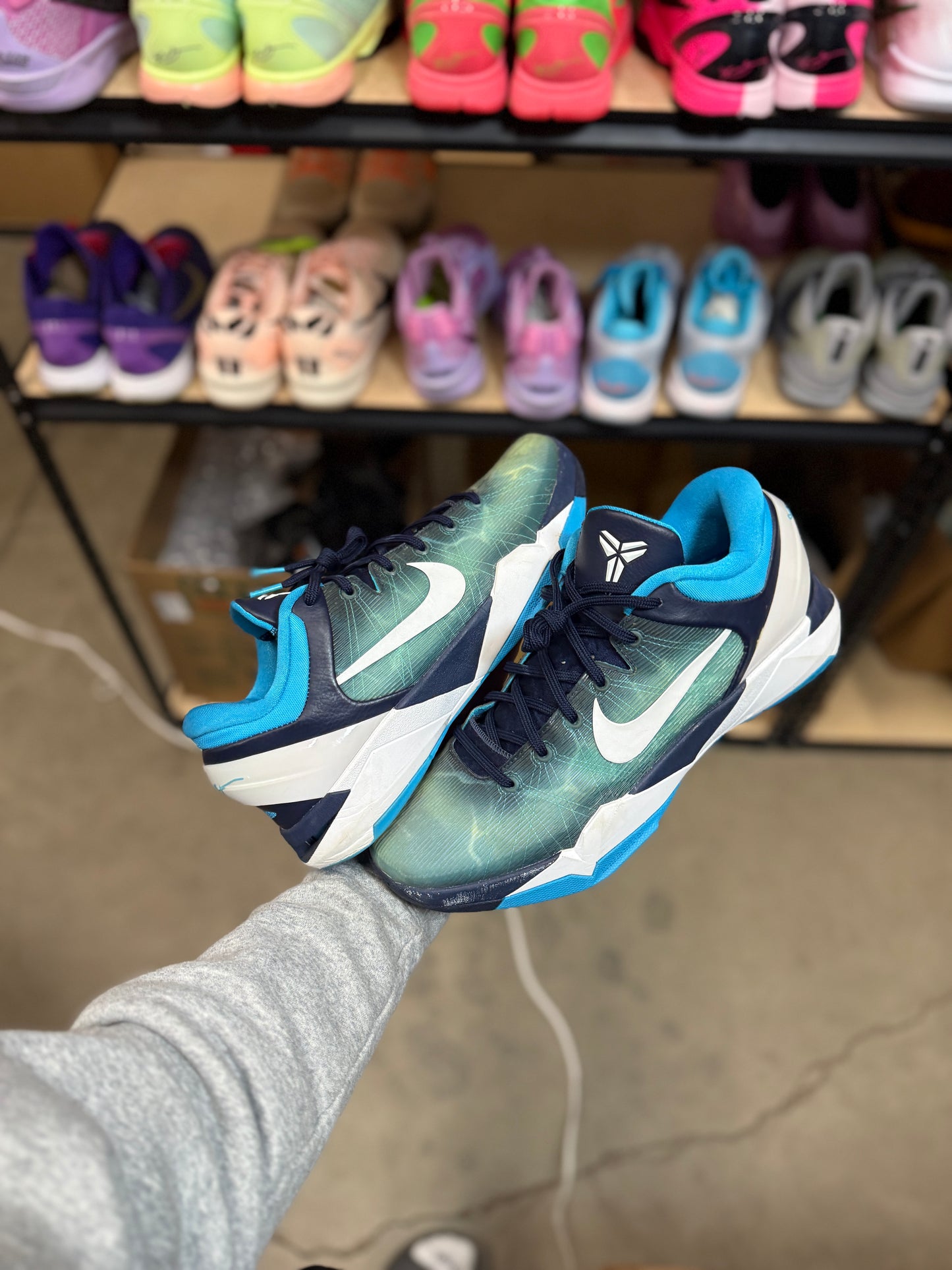 Kobe 7 Shark (12)