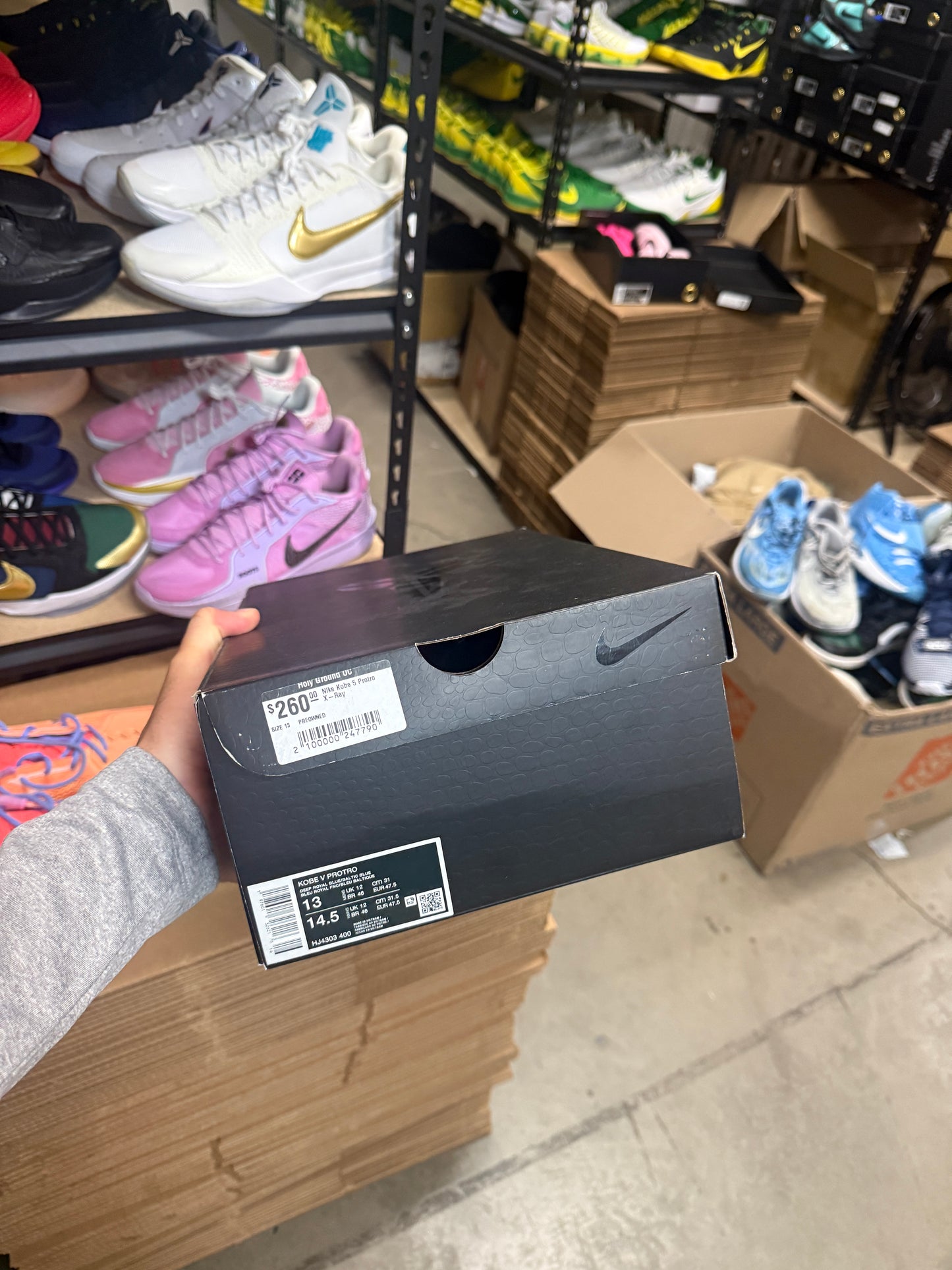 Kobe 5 X-Ray (13)