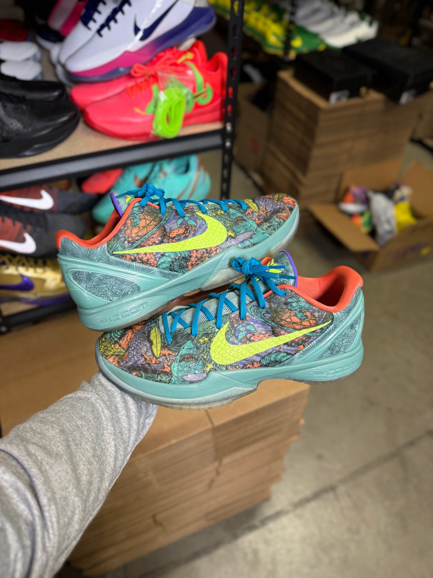 Kobe 6 Prelude (13)