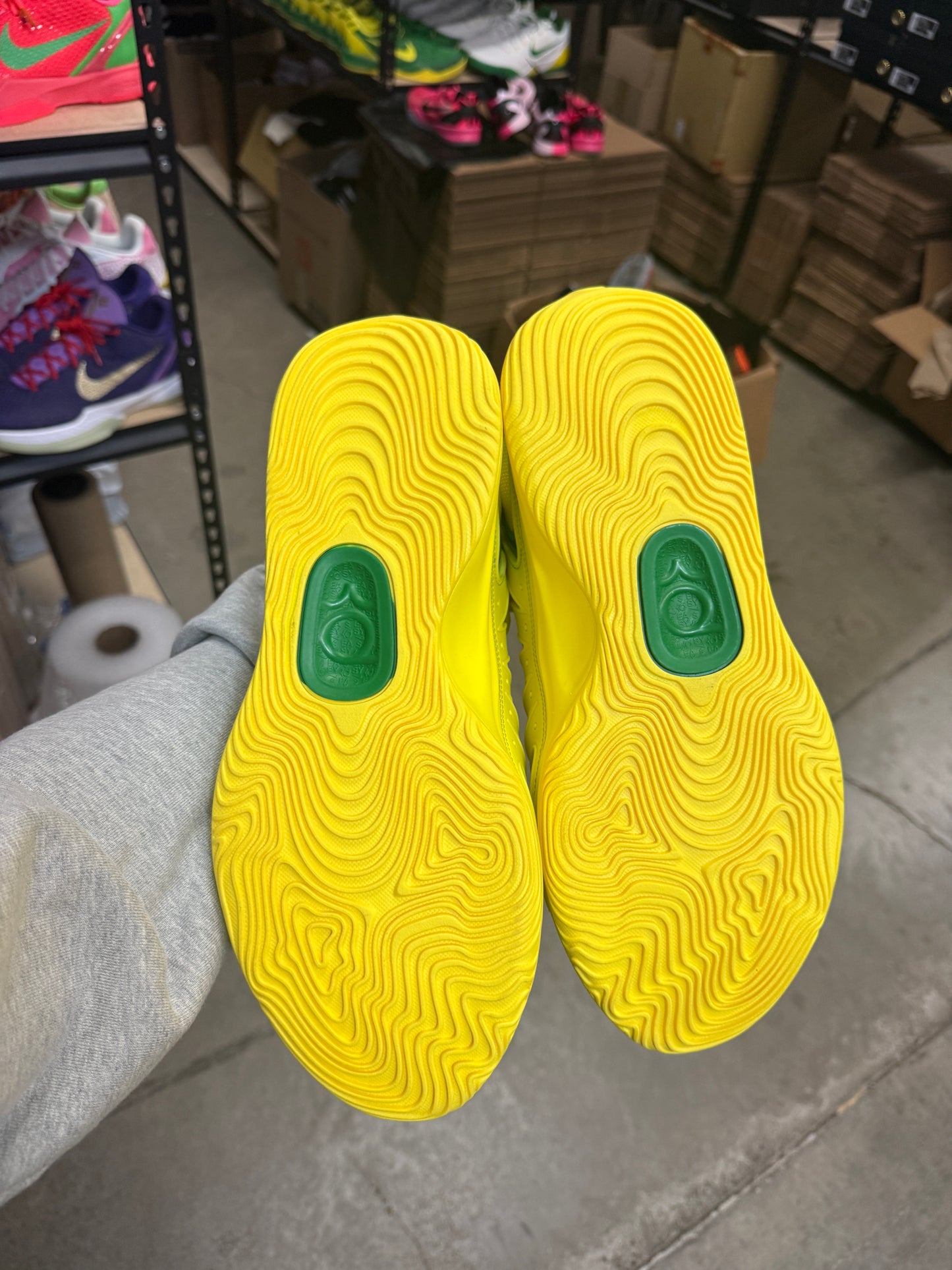 Kd18 Oregon PE (13)