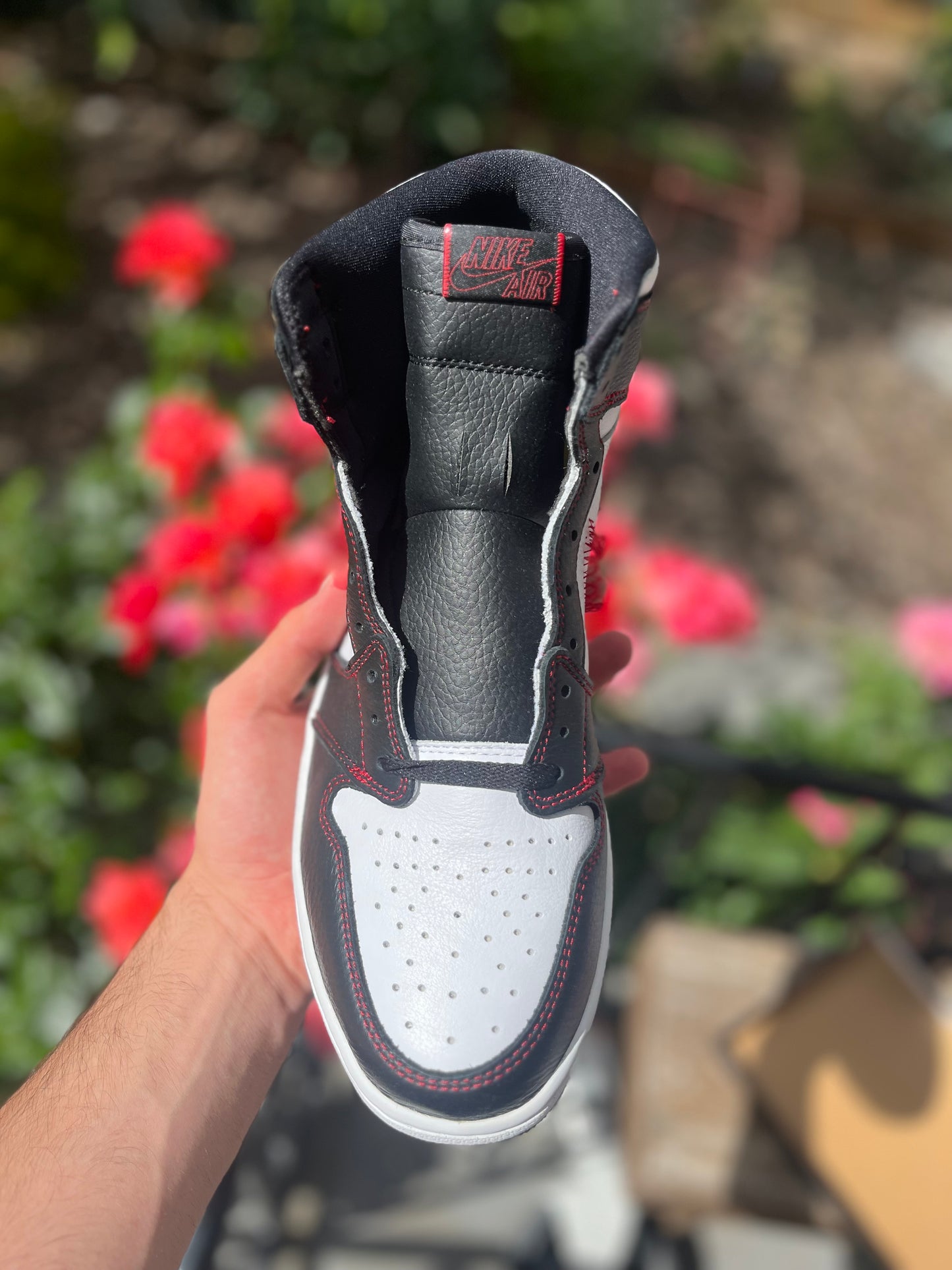(Size 12)