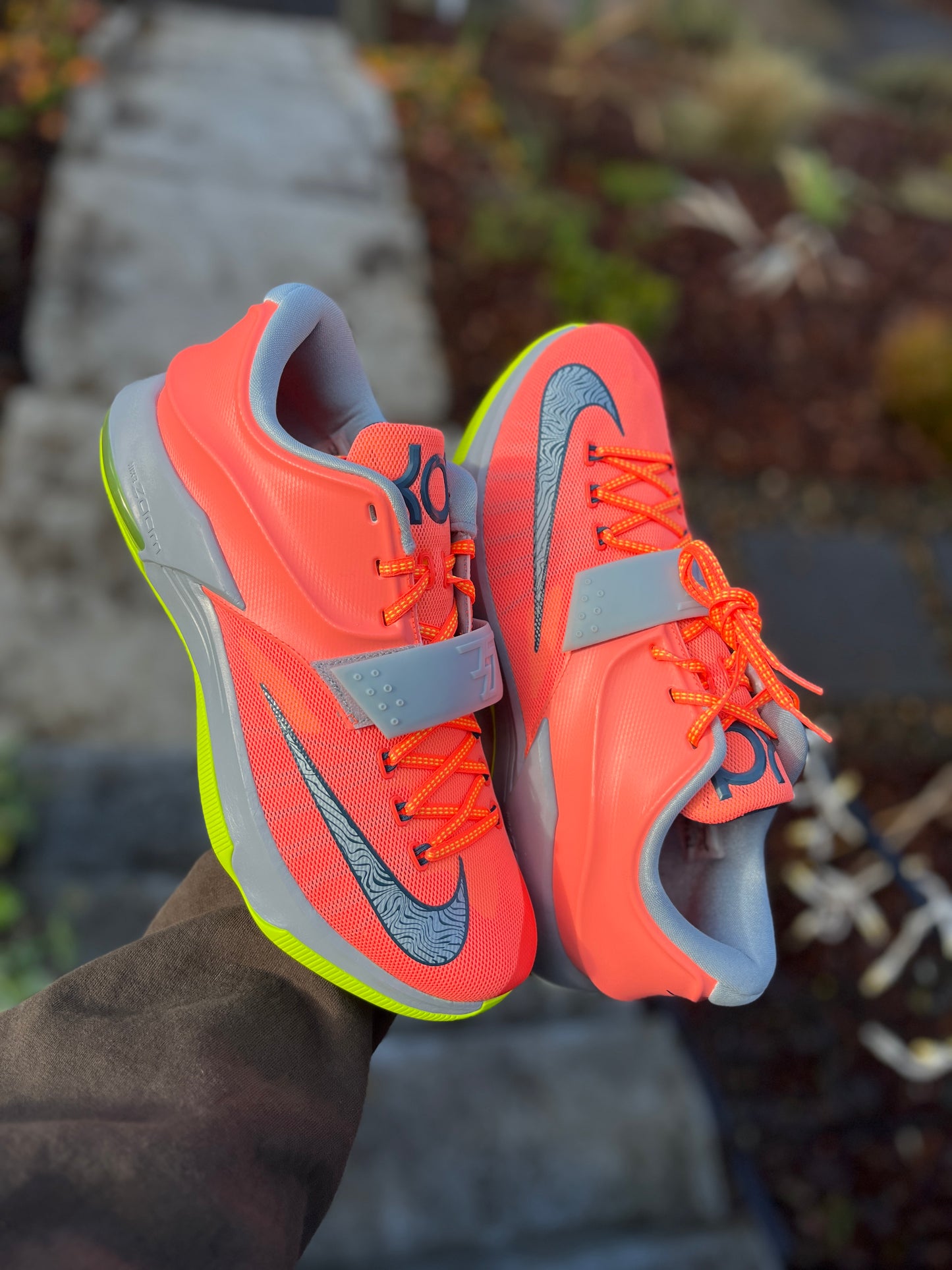 Kd7 (size 12.5,13)