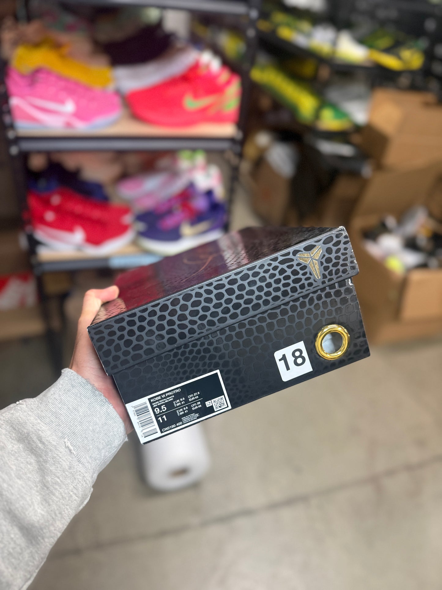 Kobe 6 Dodger (9.5)