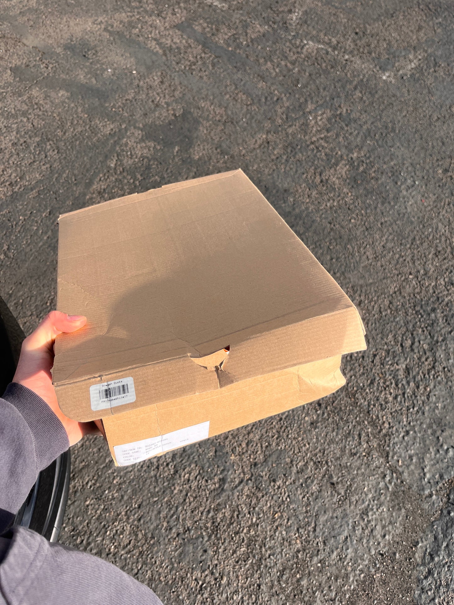 Oregon PE AD (size 17)