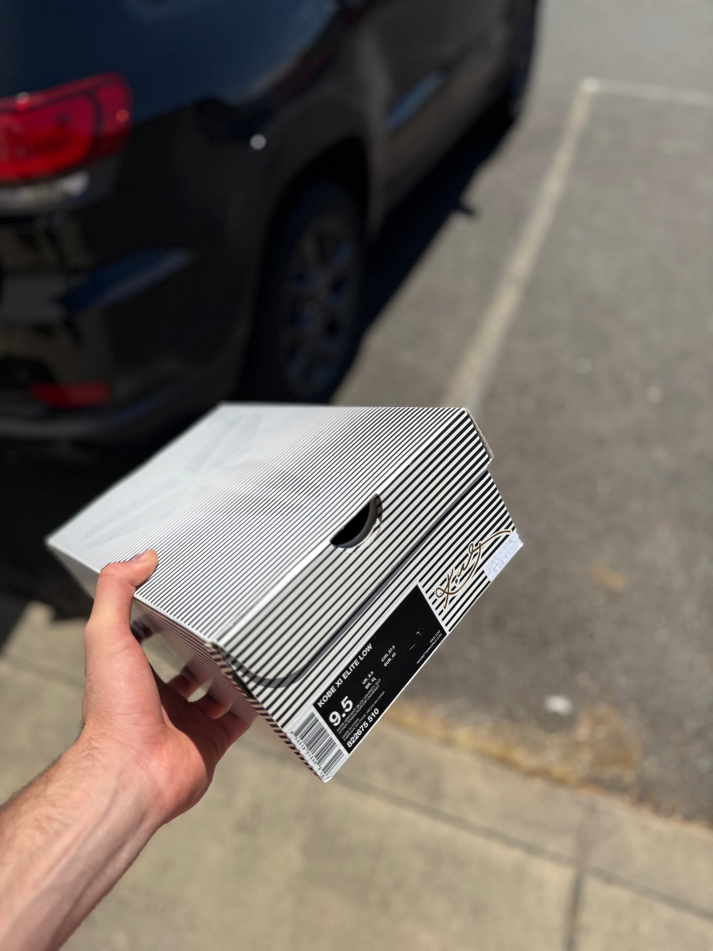 Hyper grape 11s (size 9.5)