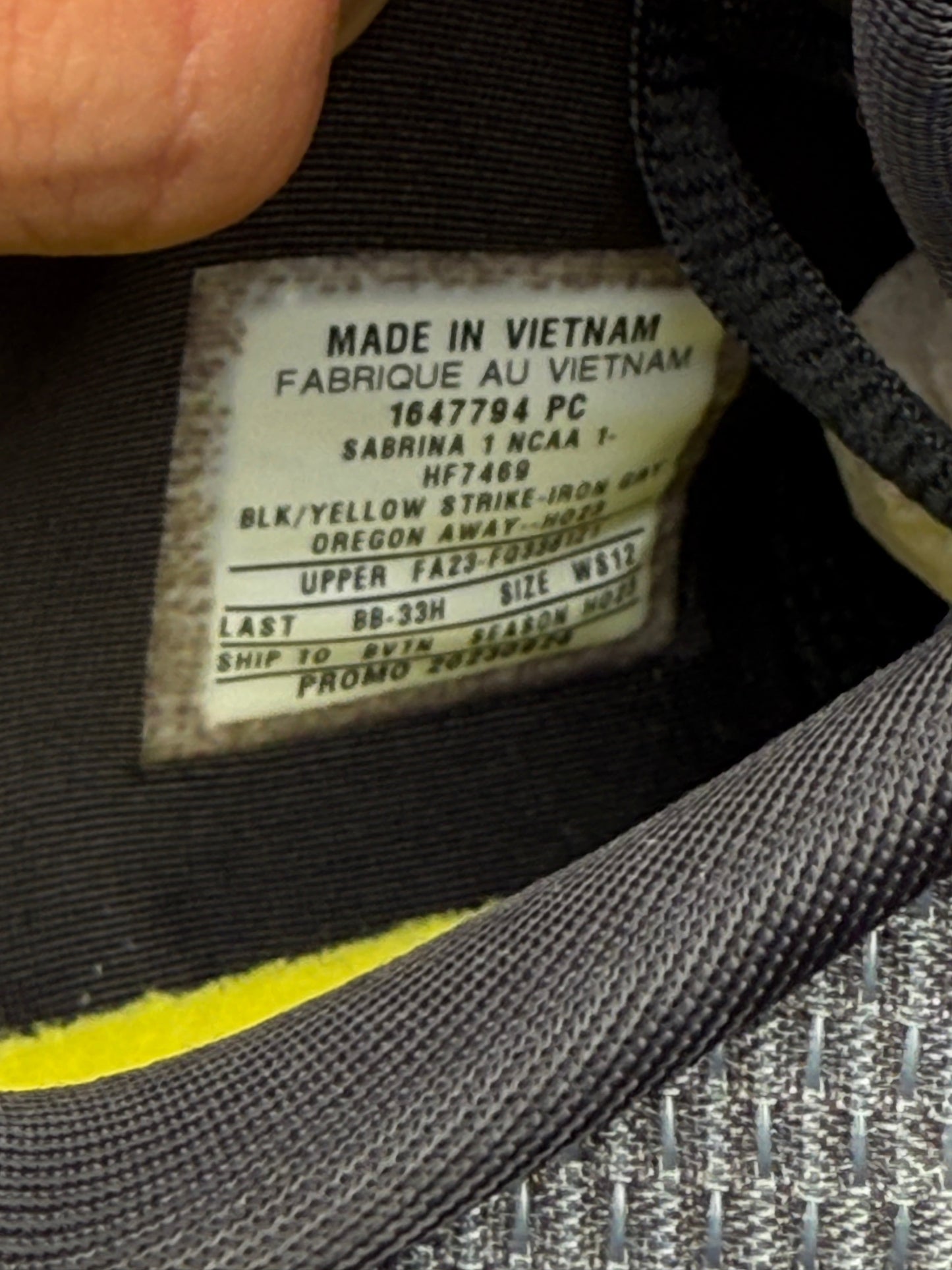 Sabrina 1 Oregon PE (10.5 / 12)