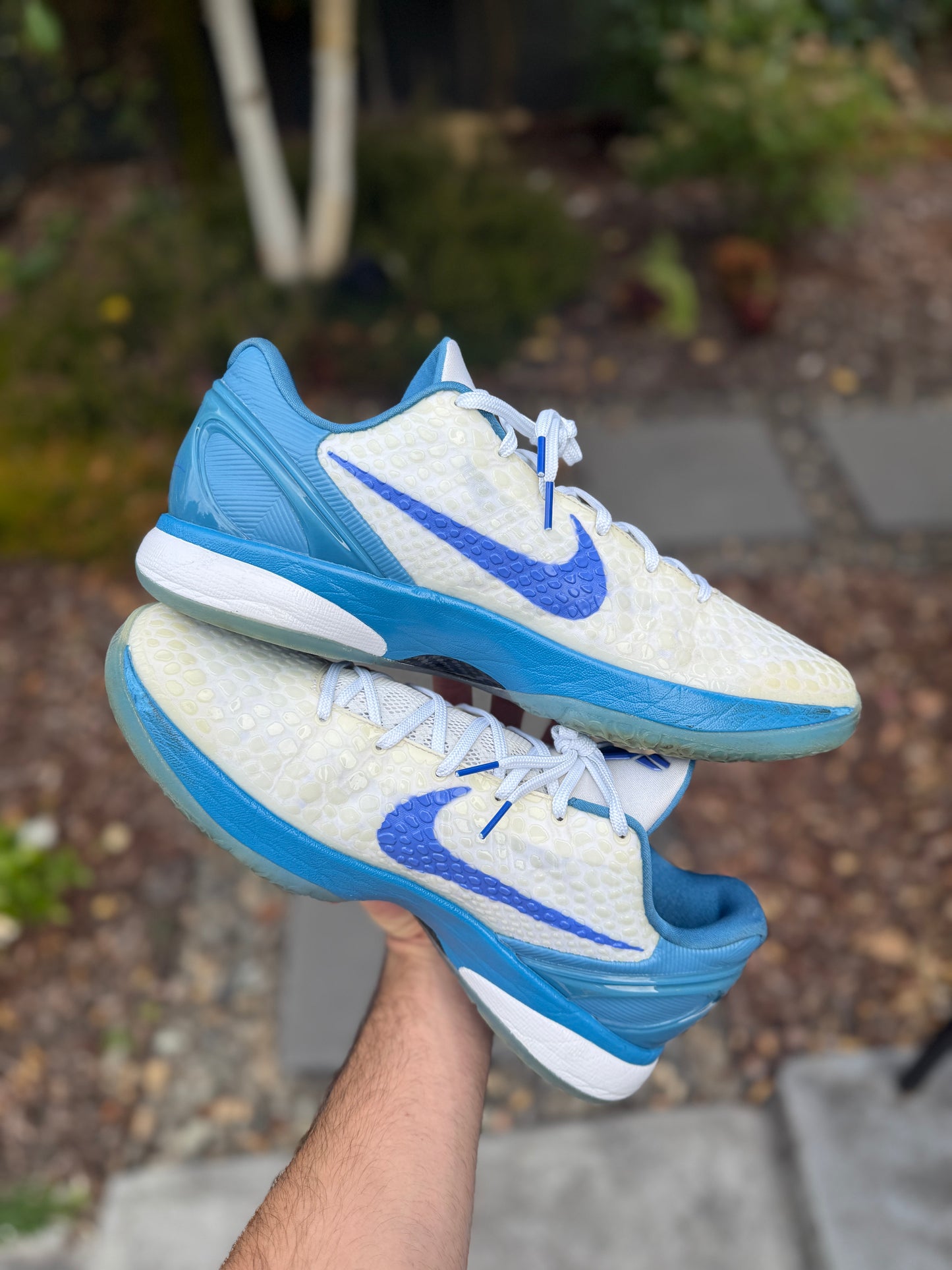 Trevor Ariza PE (size 13.5)