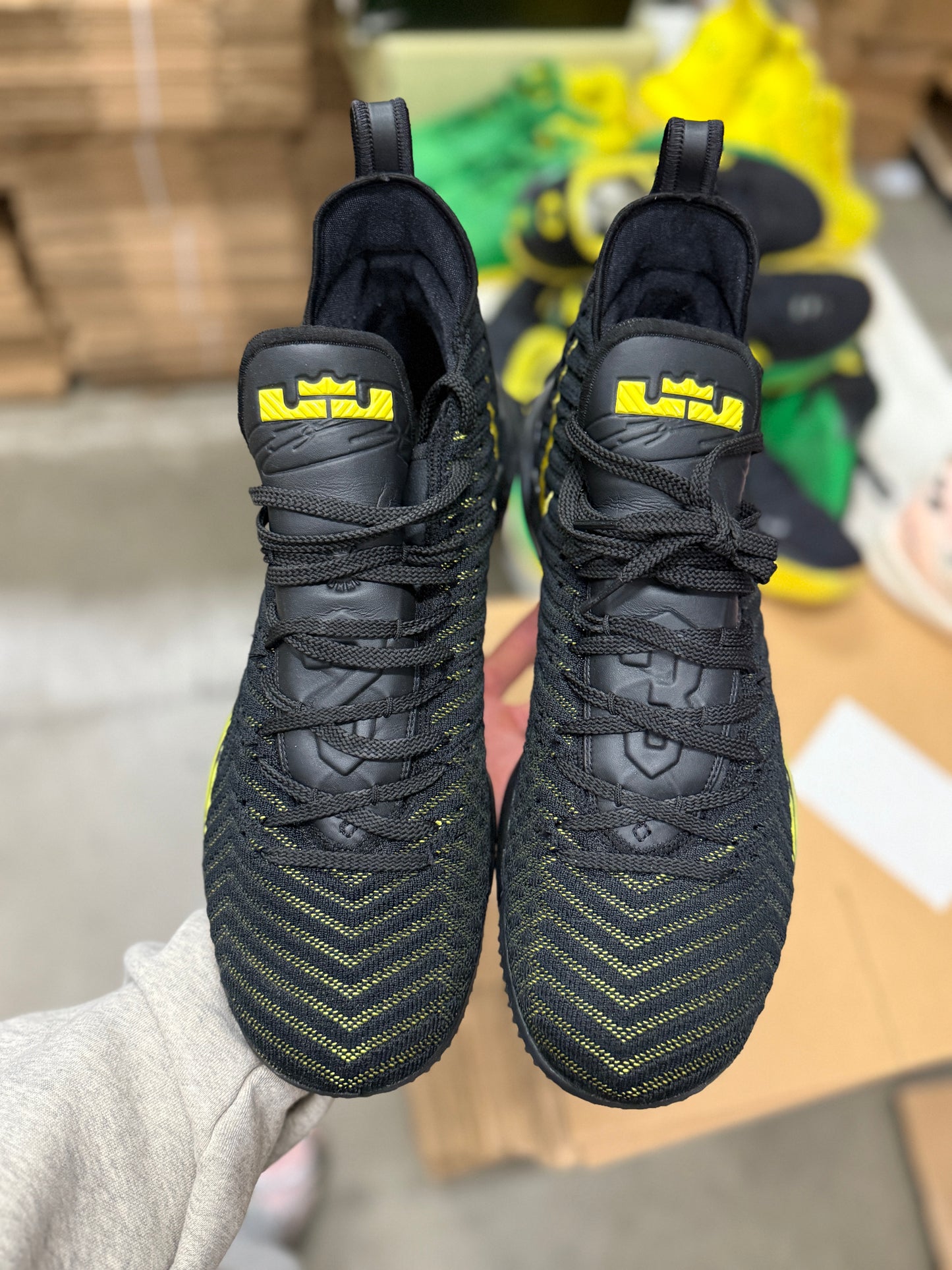 LeBron Oregon PE (size 15)