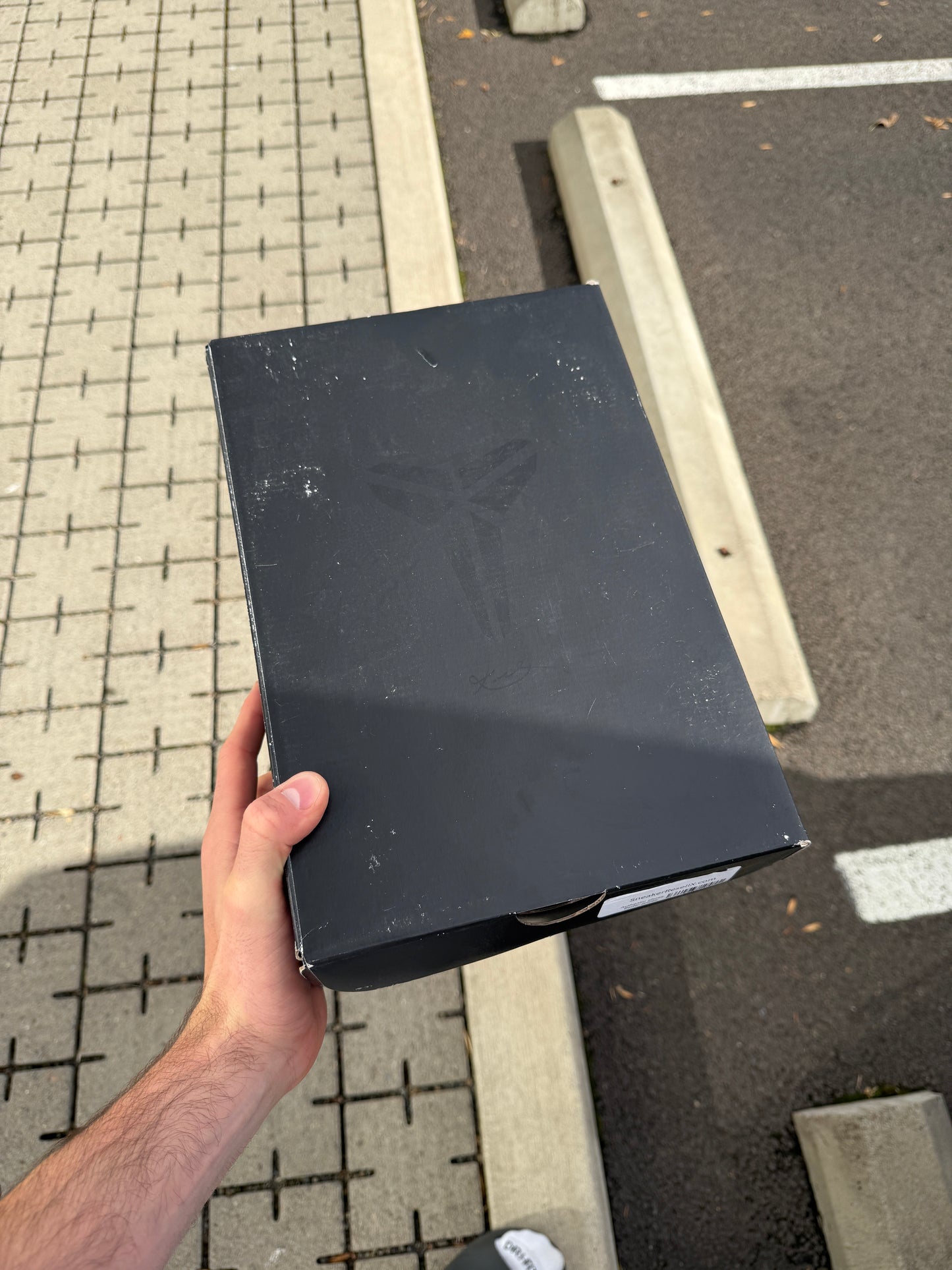 Kobe 5 Bruce Lee (size 8)