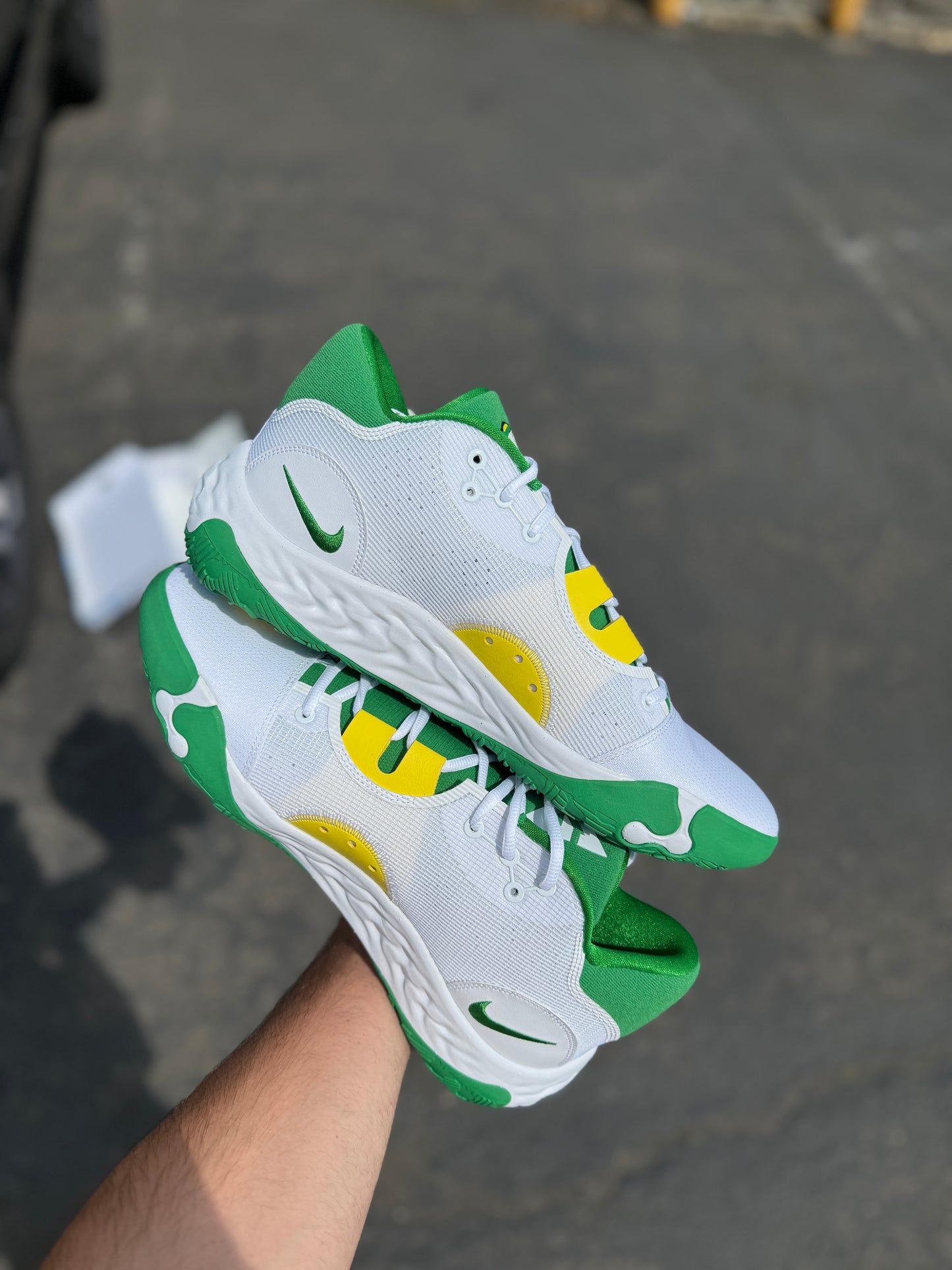 PG Oregon PE (9,13)