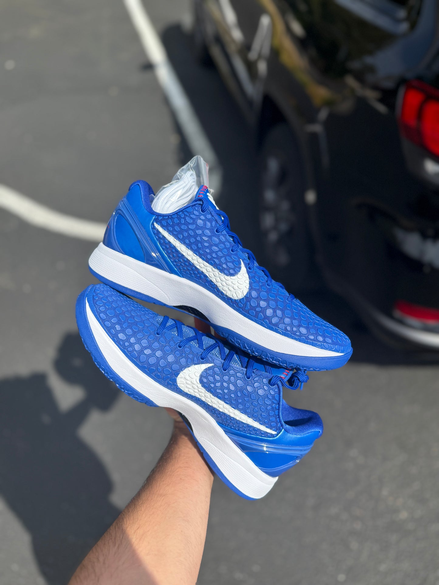 Dodger 6 (9.5,11.5)