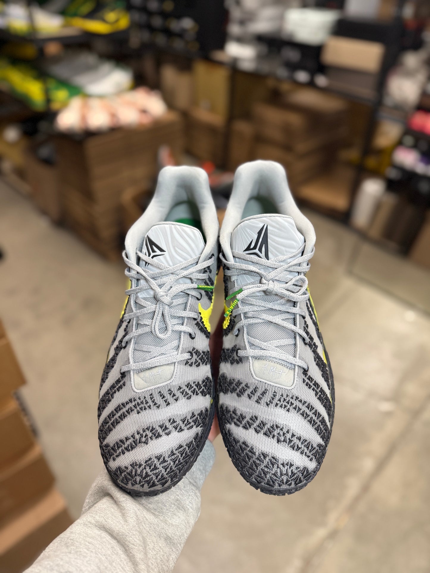 Ja 3 Oregon PE (16)