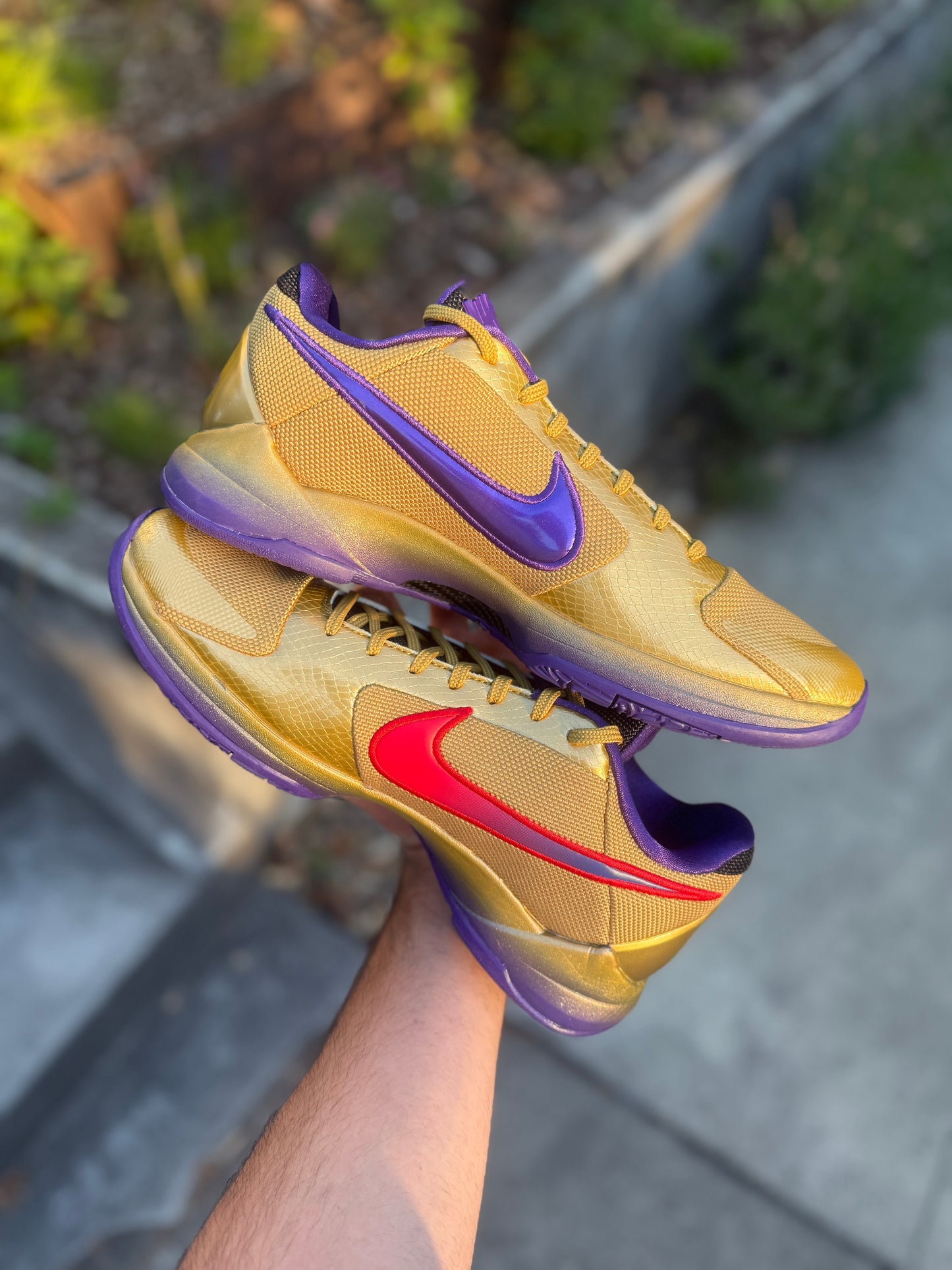 Undefeated 5 (11,11.5)
