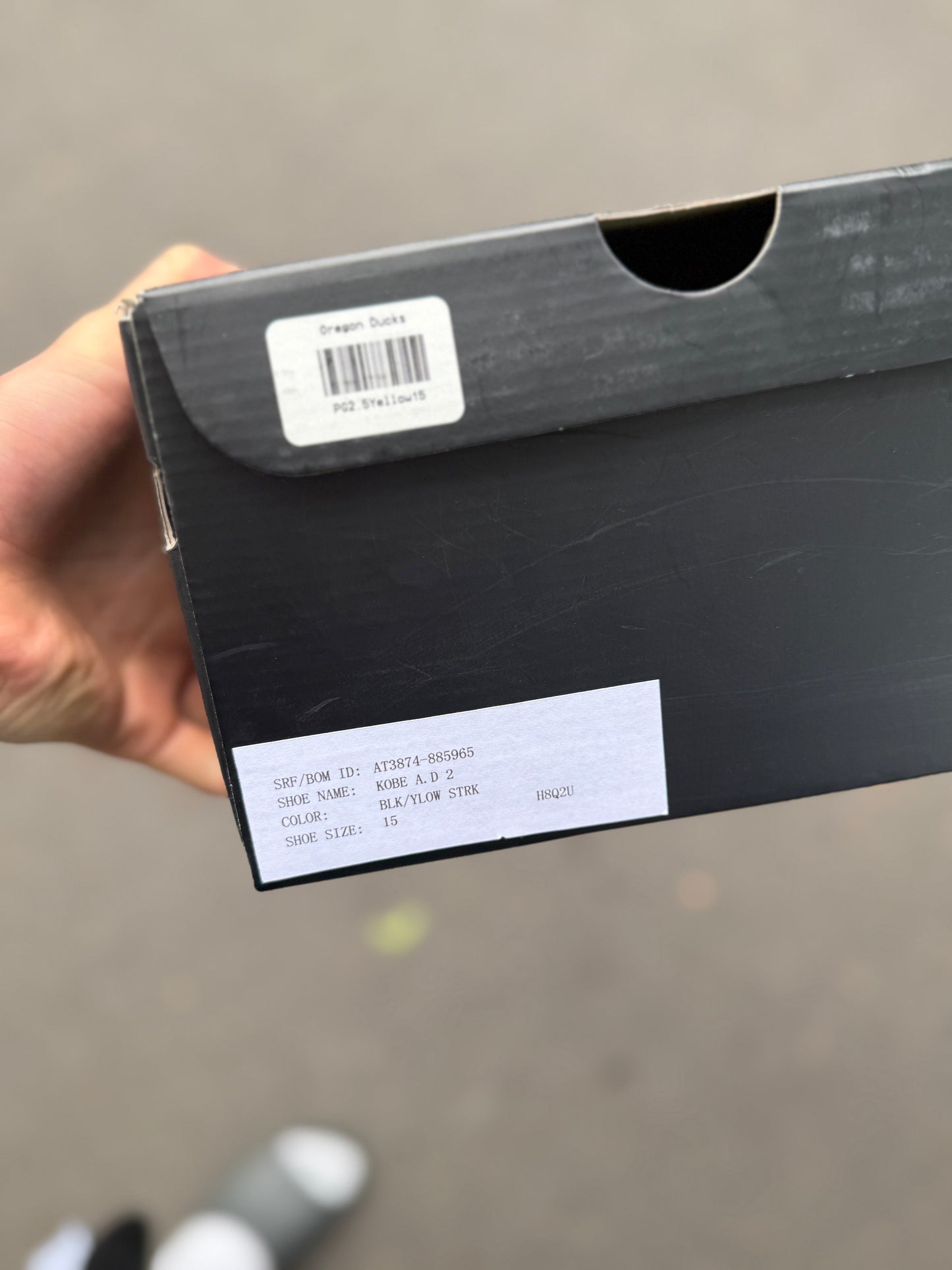 Oregon PE AD (size 15)