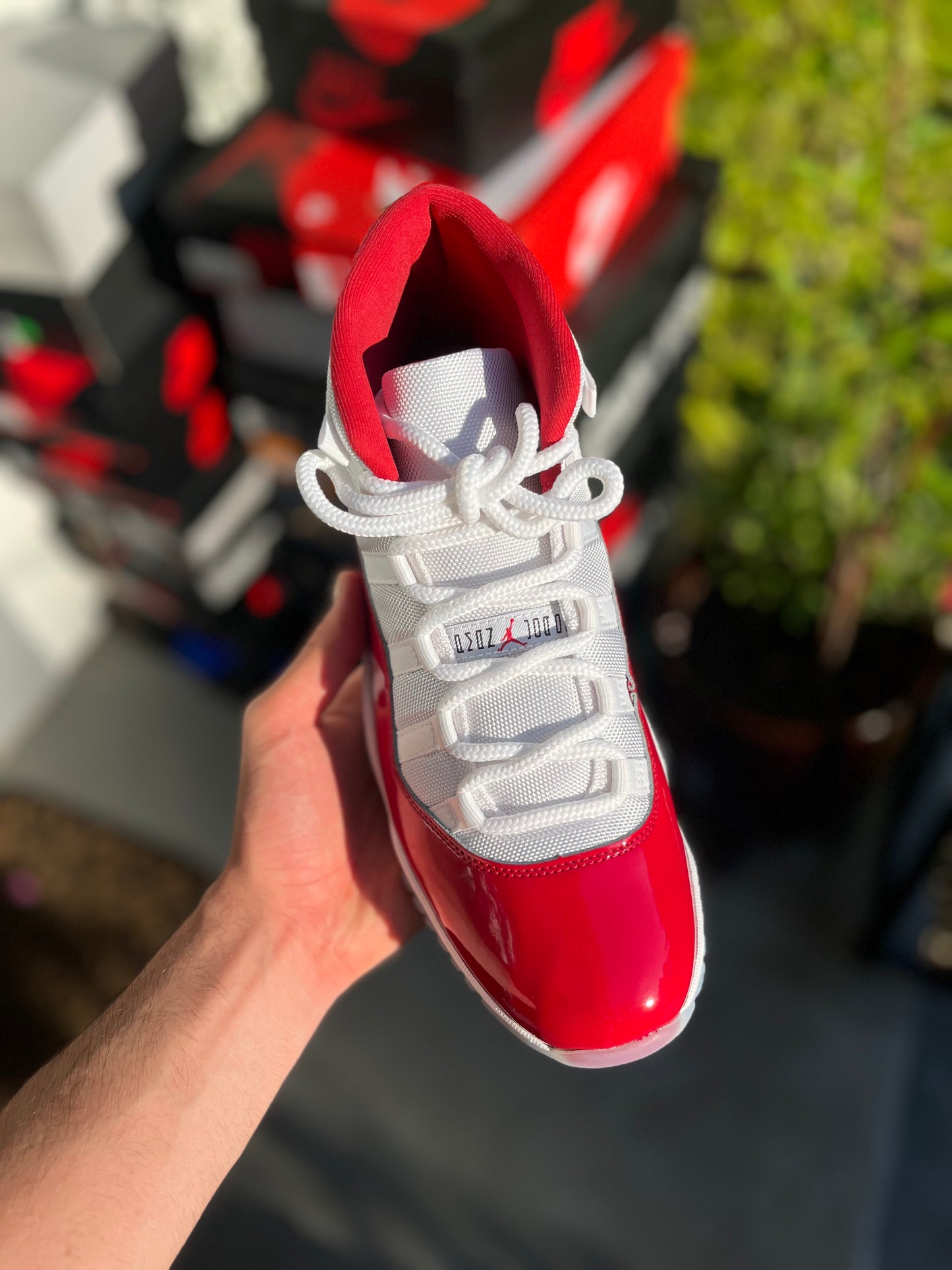 (Size 10.5)