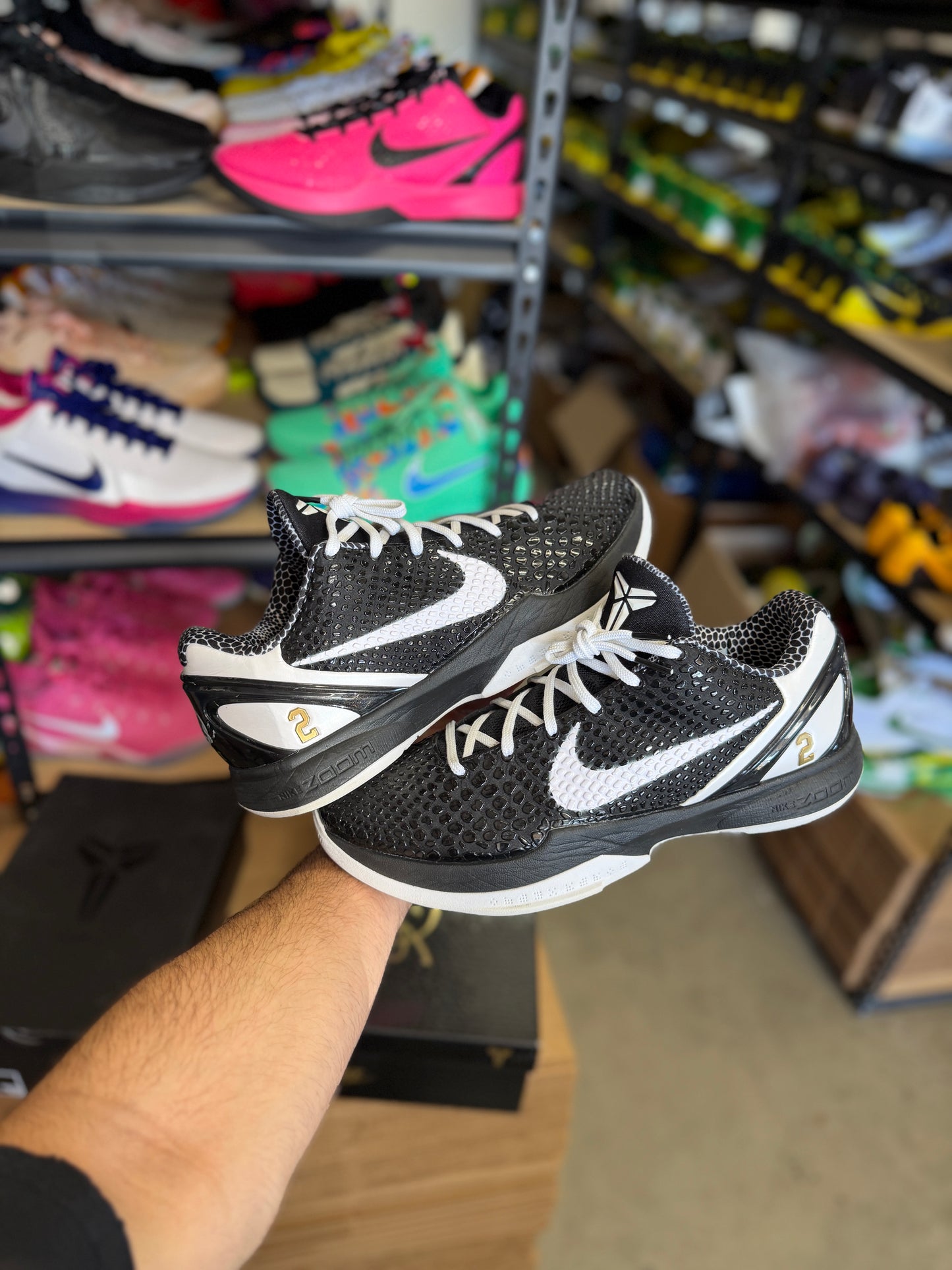 Kobe 6 Mambacita (13)