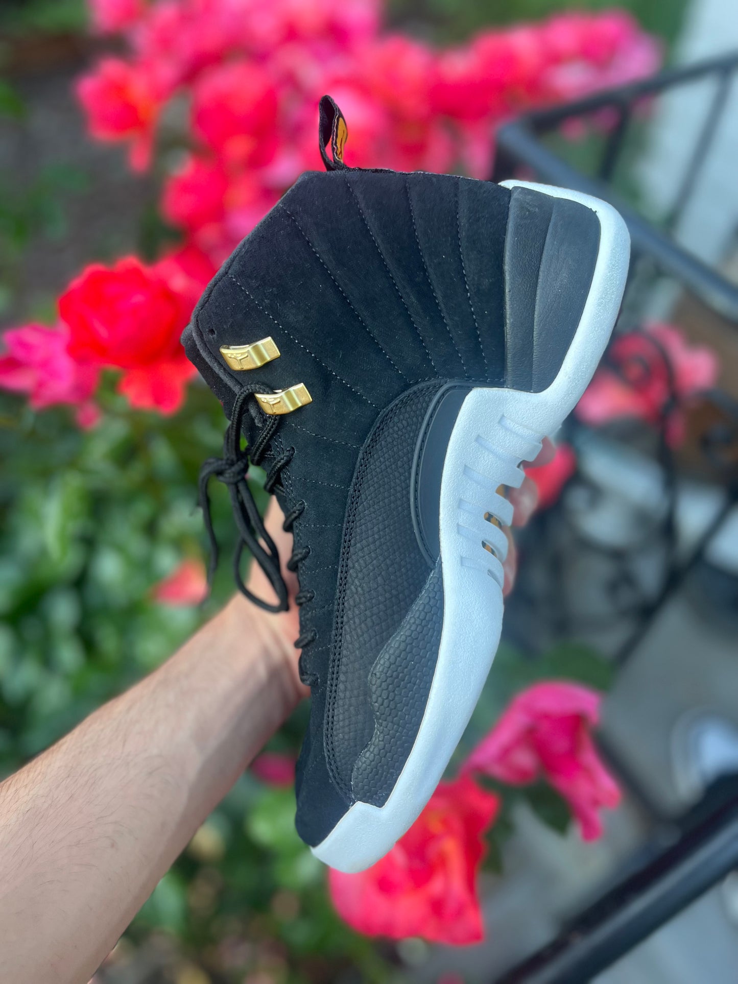 AJ12 (size 10)