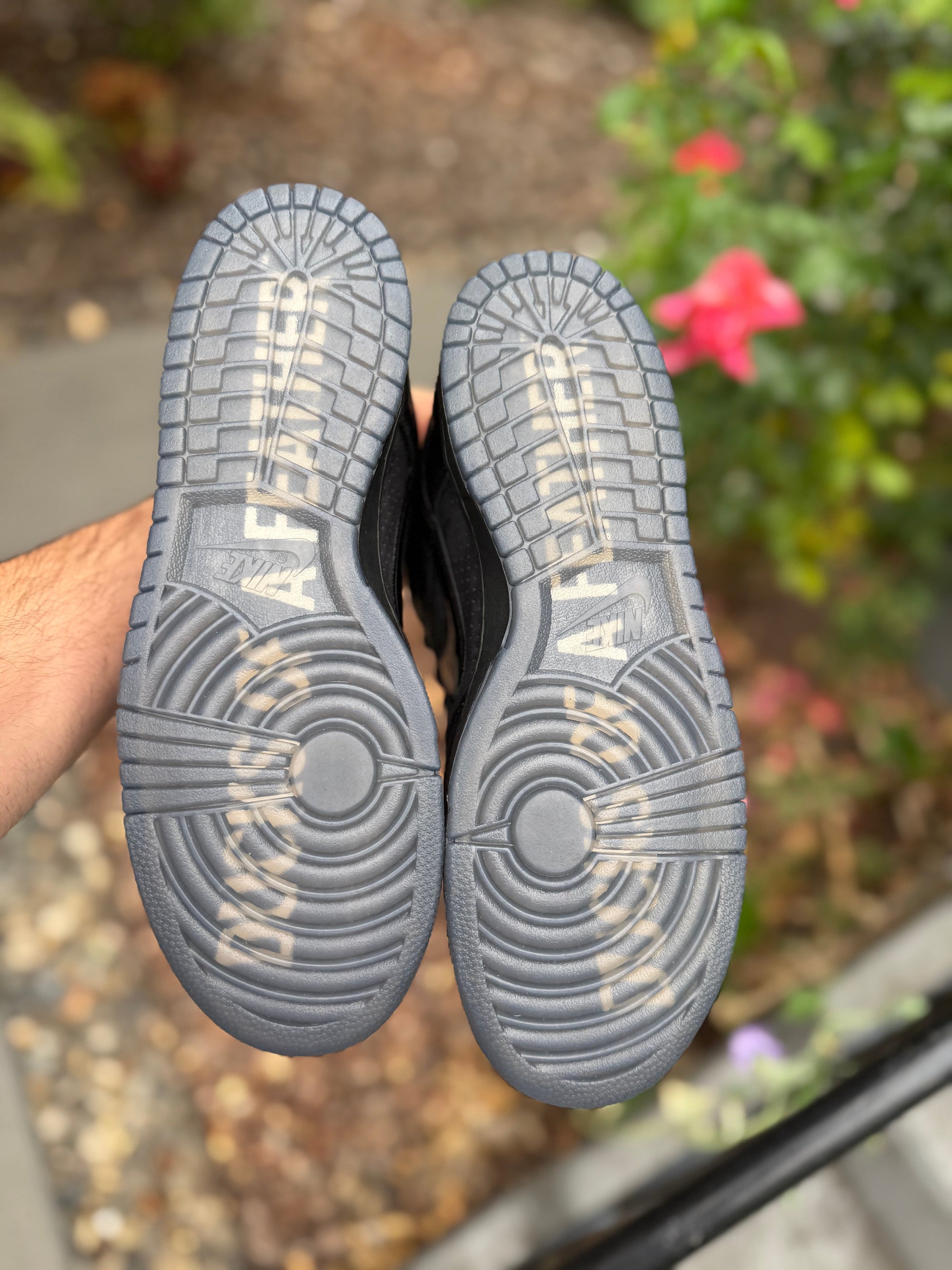 Dunk What The Oregon PE (size 9.5)