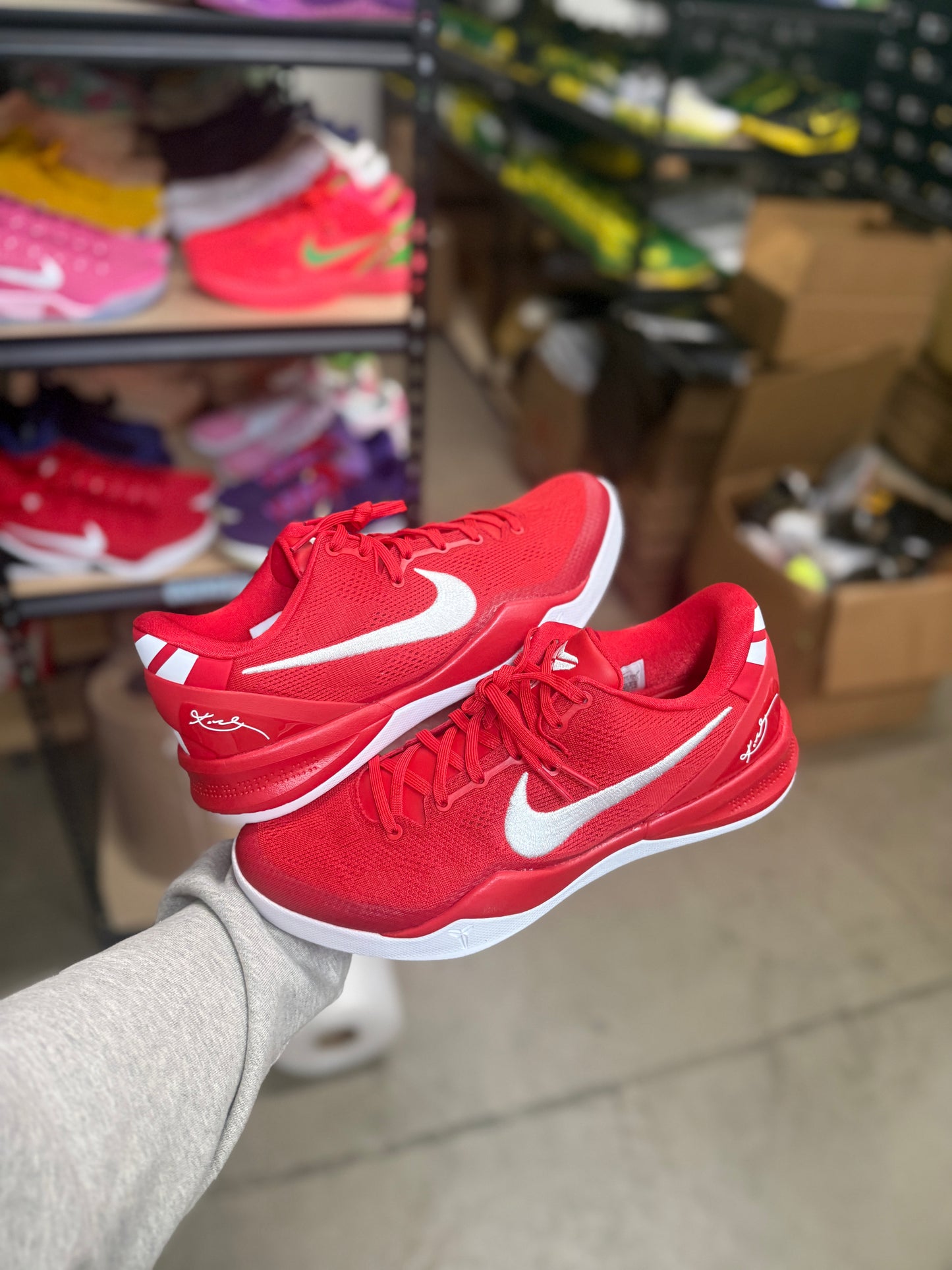 Kobe 8 (11.5)