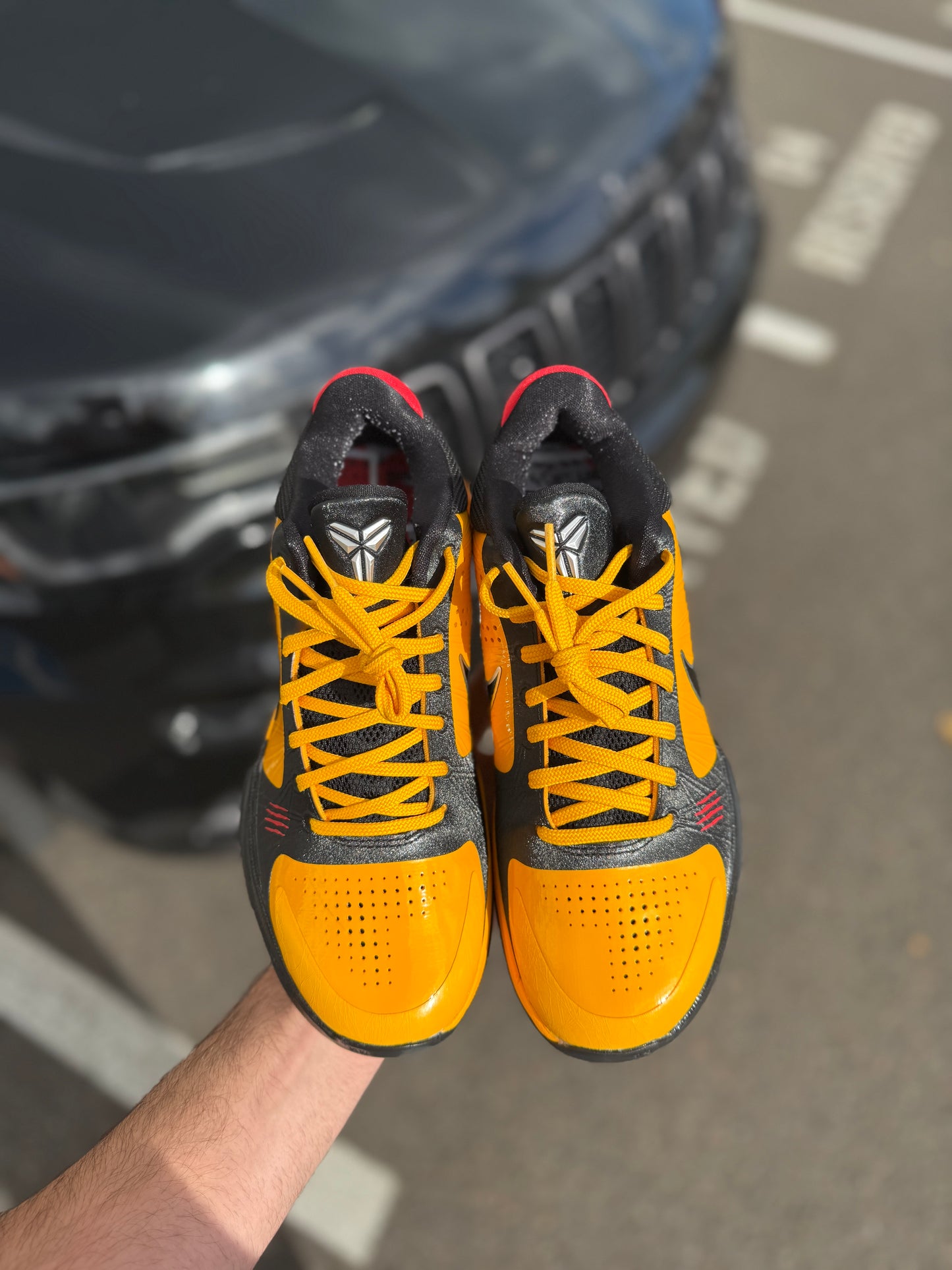 Kobe 5 Bruce Lee (size 8)