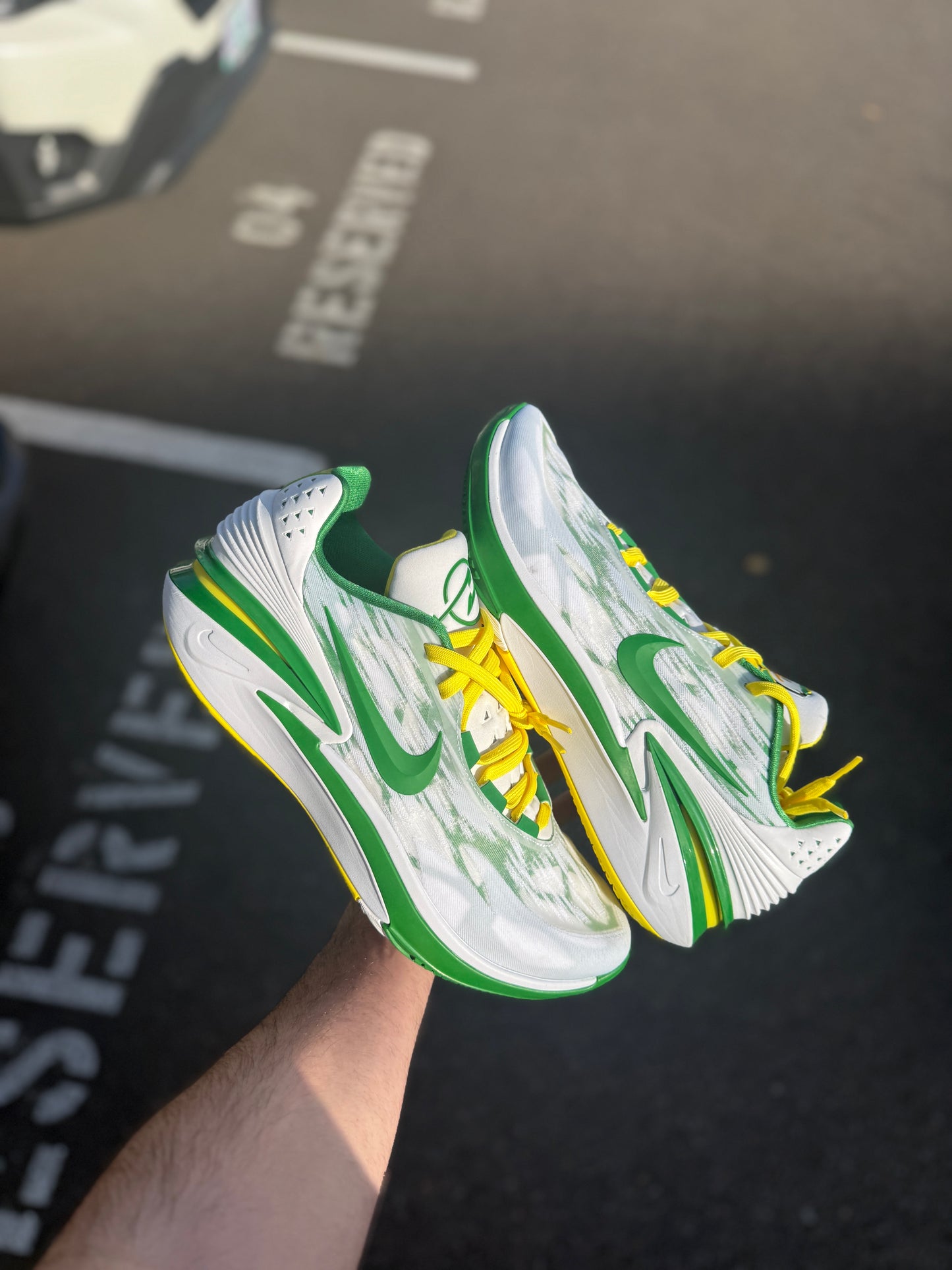 Gt Cut 2 Oregon PE (size 13)