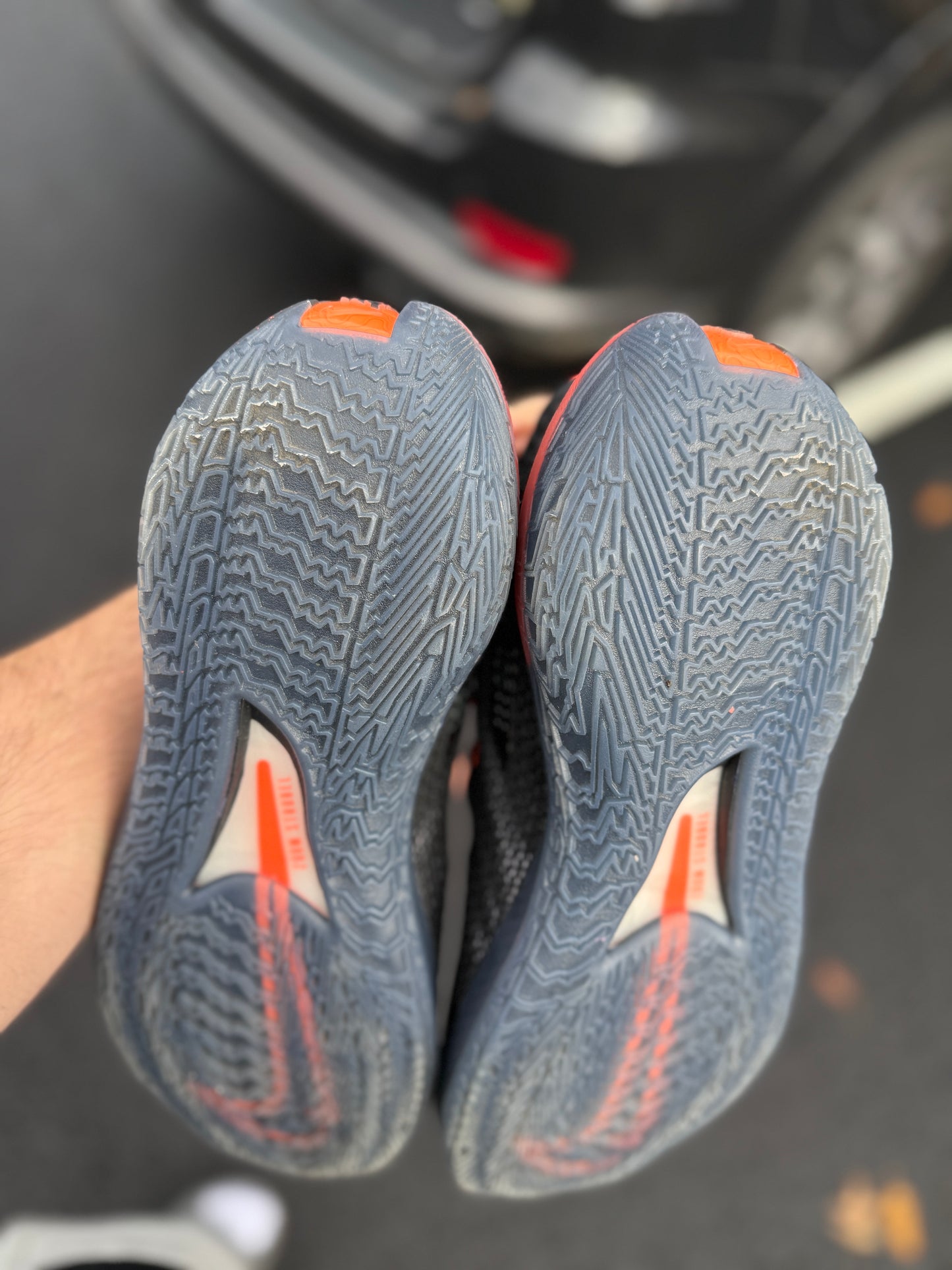 Gt cut Eybl (size 13)