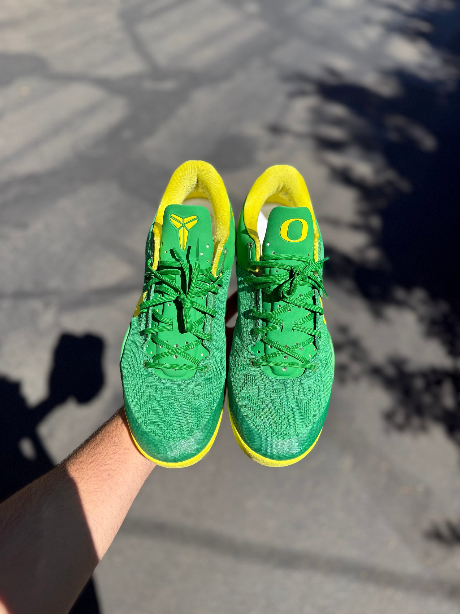 Oregon 8 (size 13)